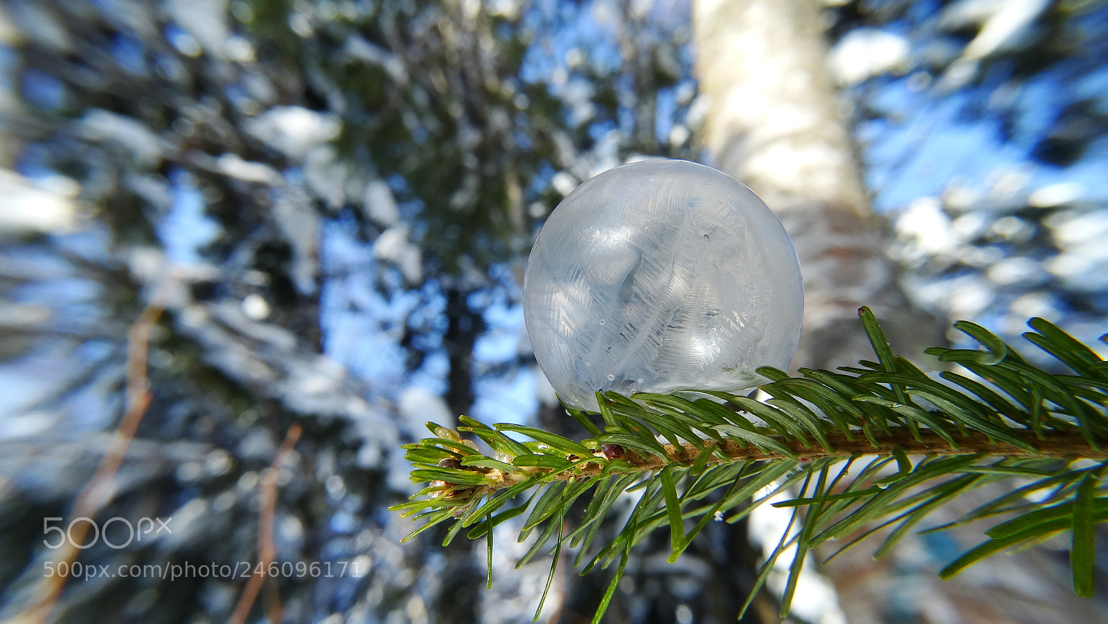 Sony Cyber-shot DSC-HX300 sample photo. Frozen soap bubble photography