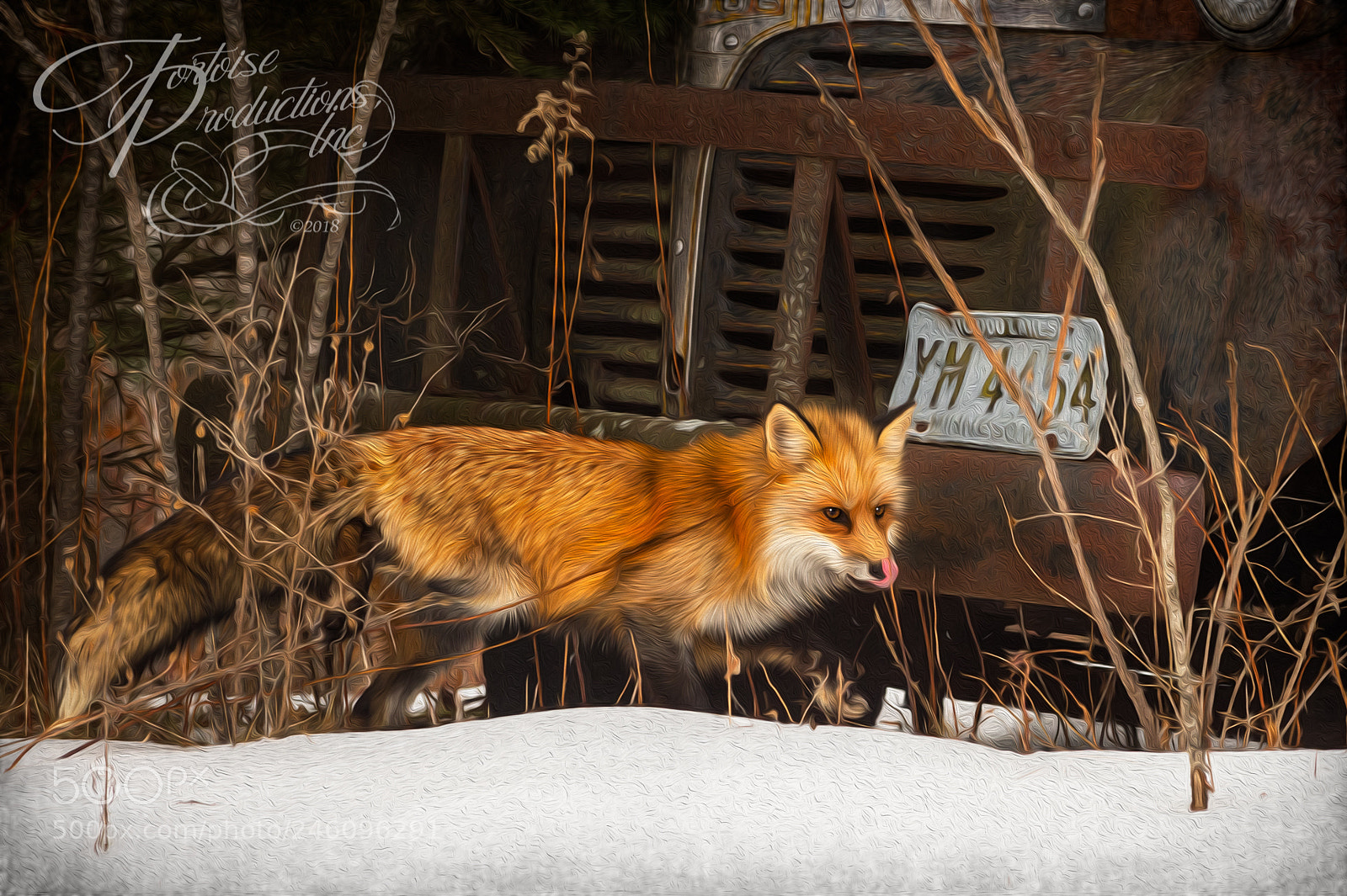 Nikon D4S sample photo. Plotting photography