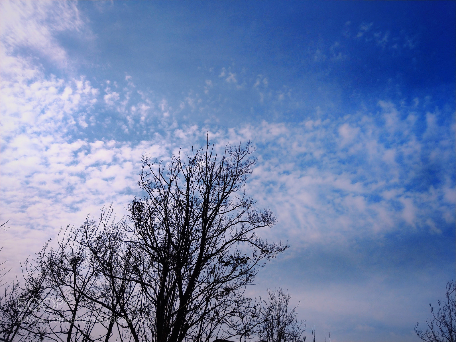 HTC U11 sample photo. 晴朗 photography