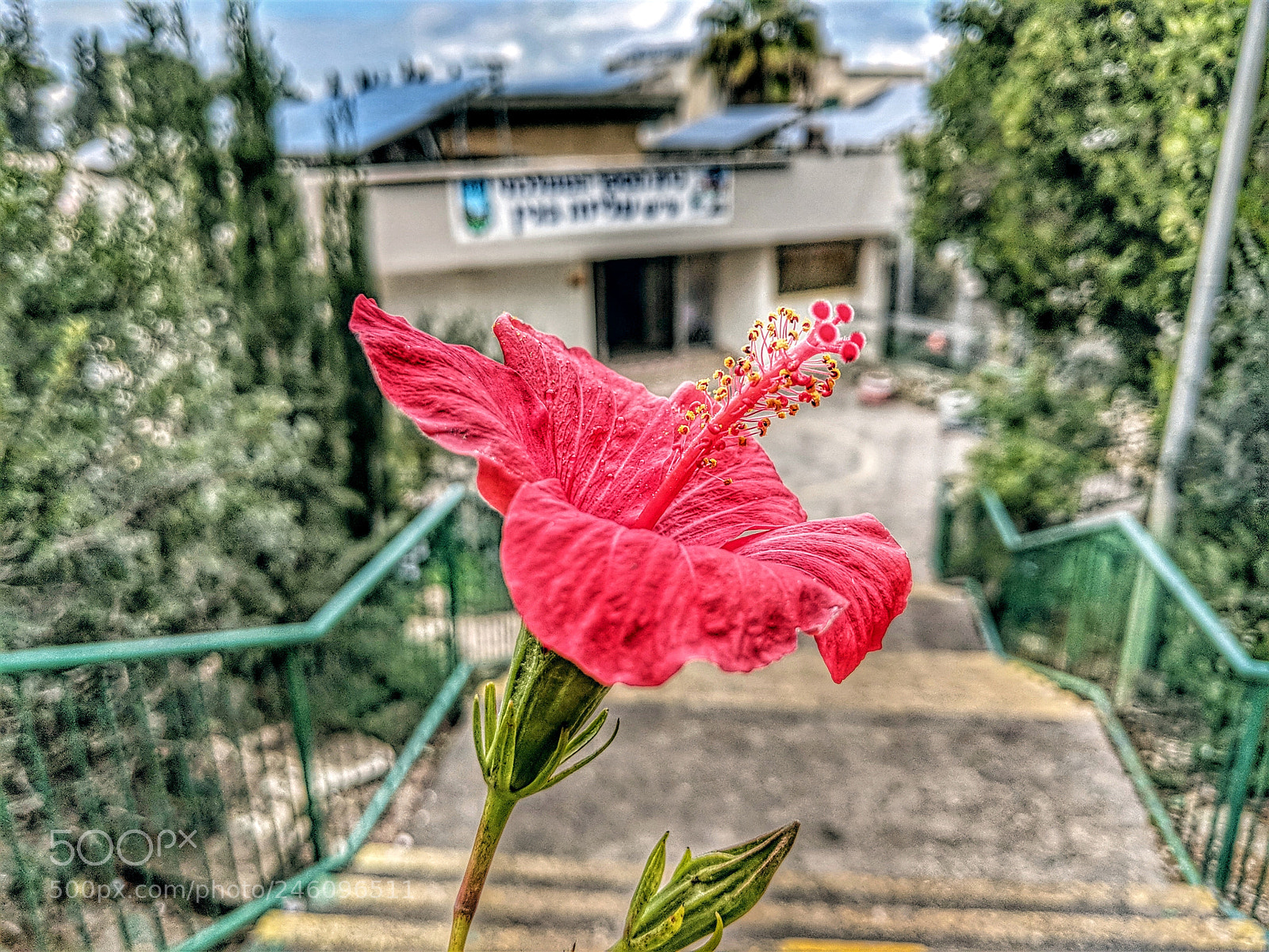 Google Pixel 2 XL sample photo. Mvimg_20180214_105656-01.jpg photography
