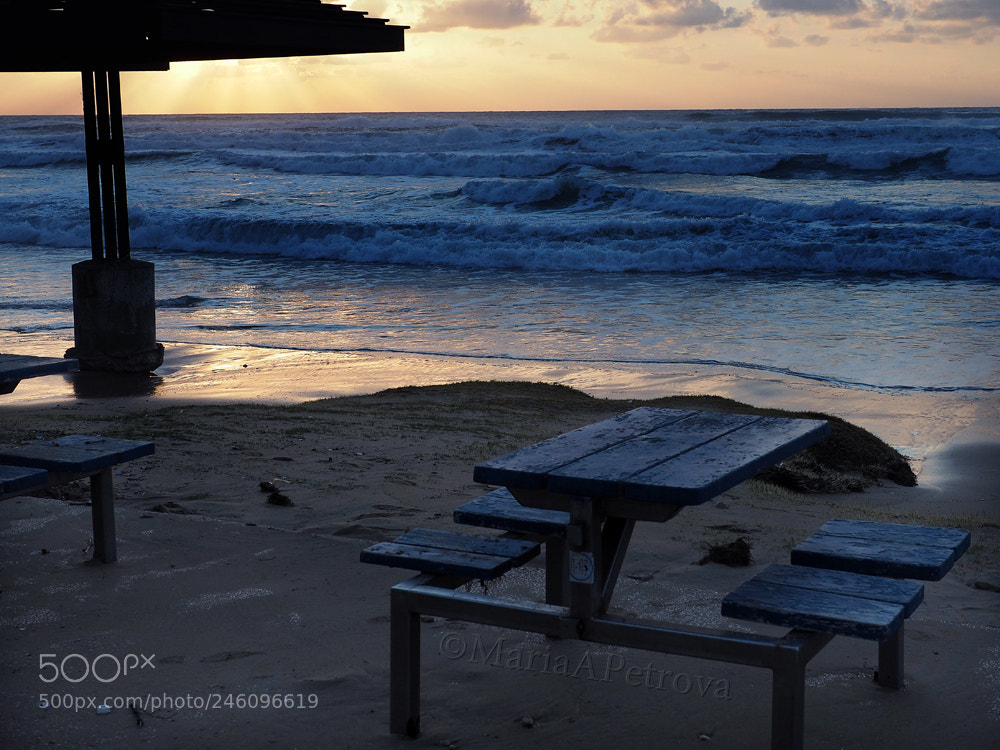 Olympus OM-D E-M5 II sample photo. Coast photography