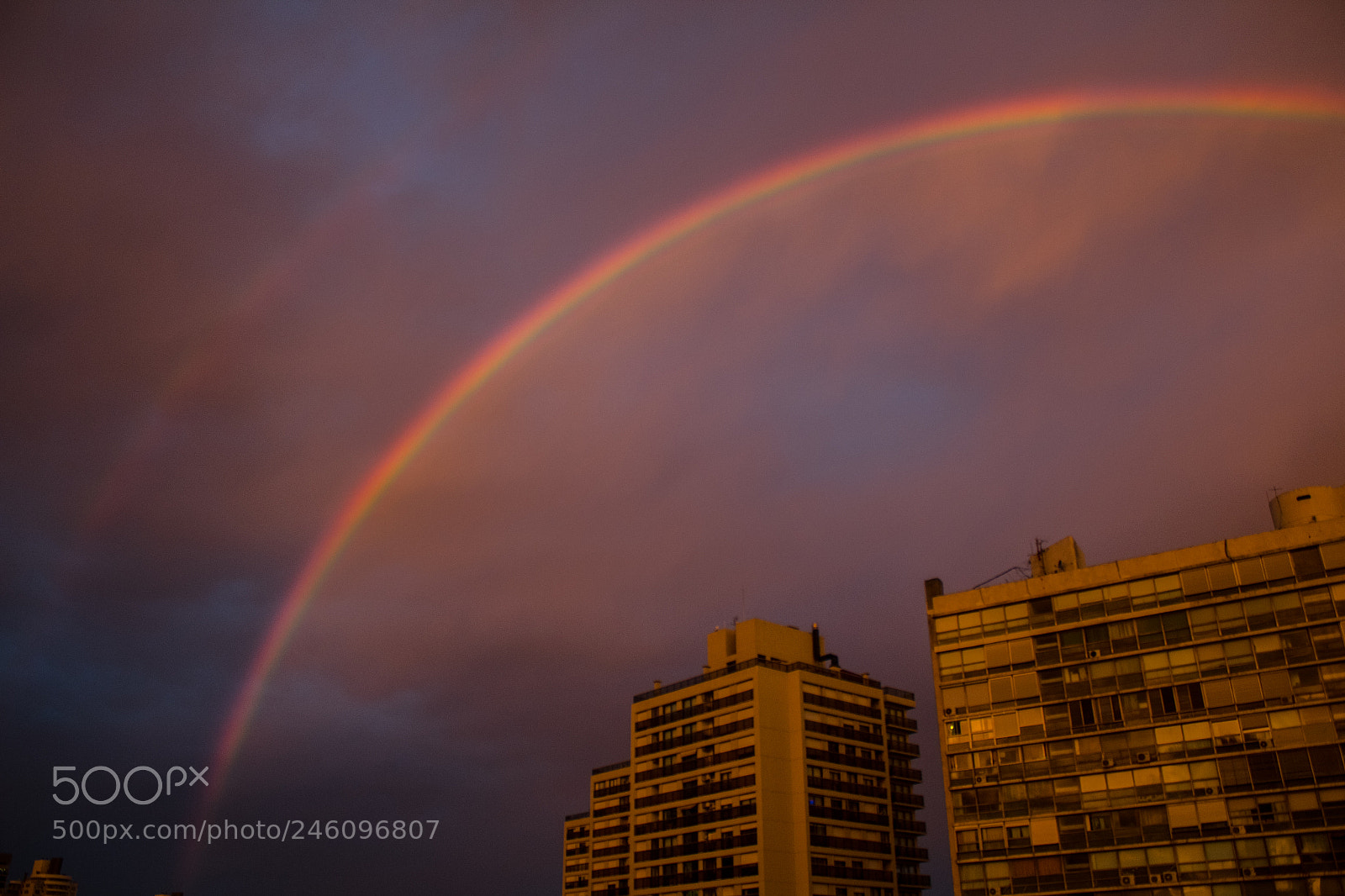 Canon EOS 1300D (EOS Rebel T6 / EOS Kiss X80) sample photo. Rainbow in the light photography