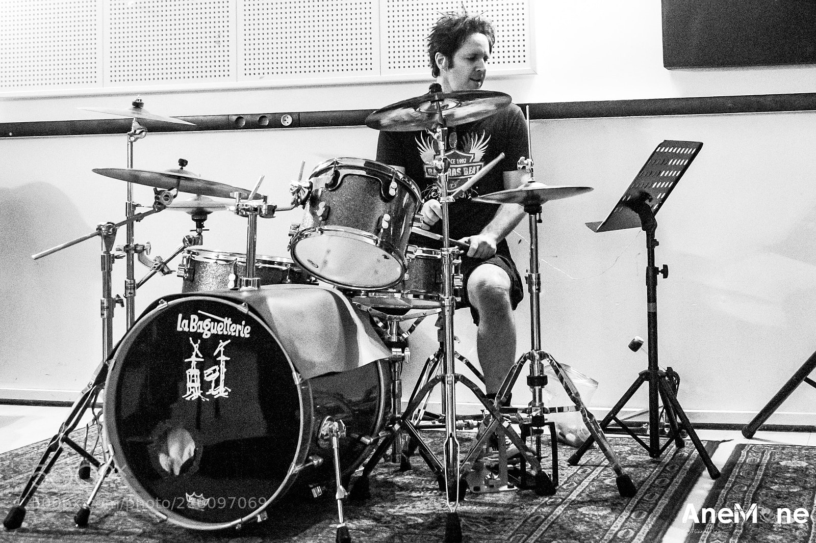 Canon EOS-1D X sample photo. Glen sobel photography