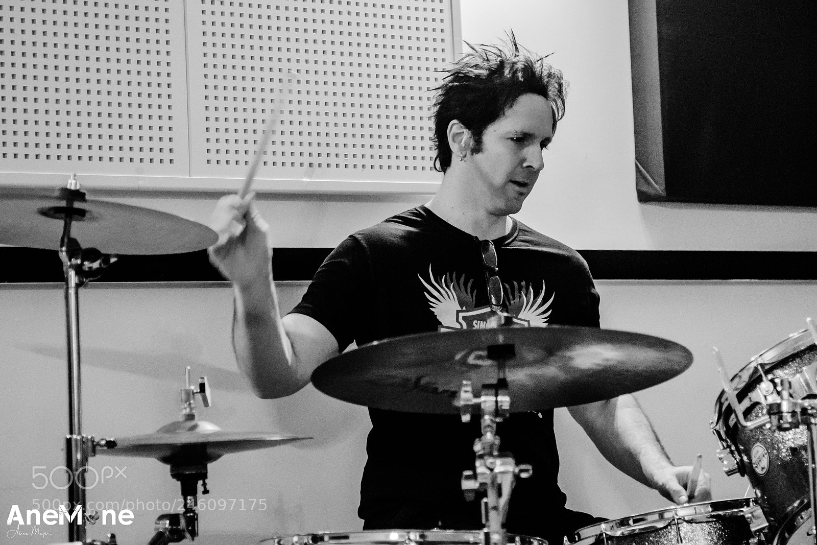 Canon EOS-1D X sample photo. Glen sobel photography