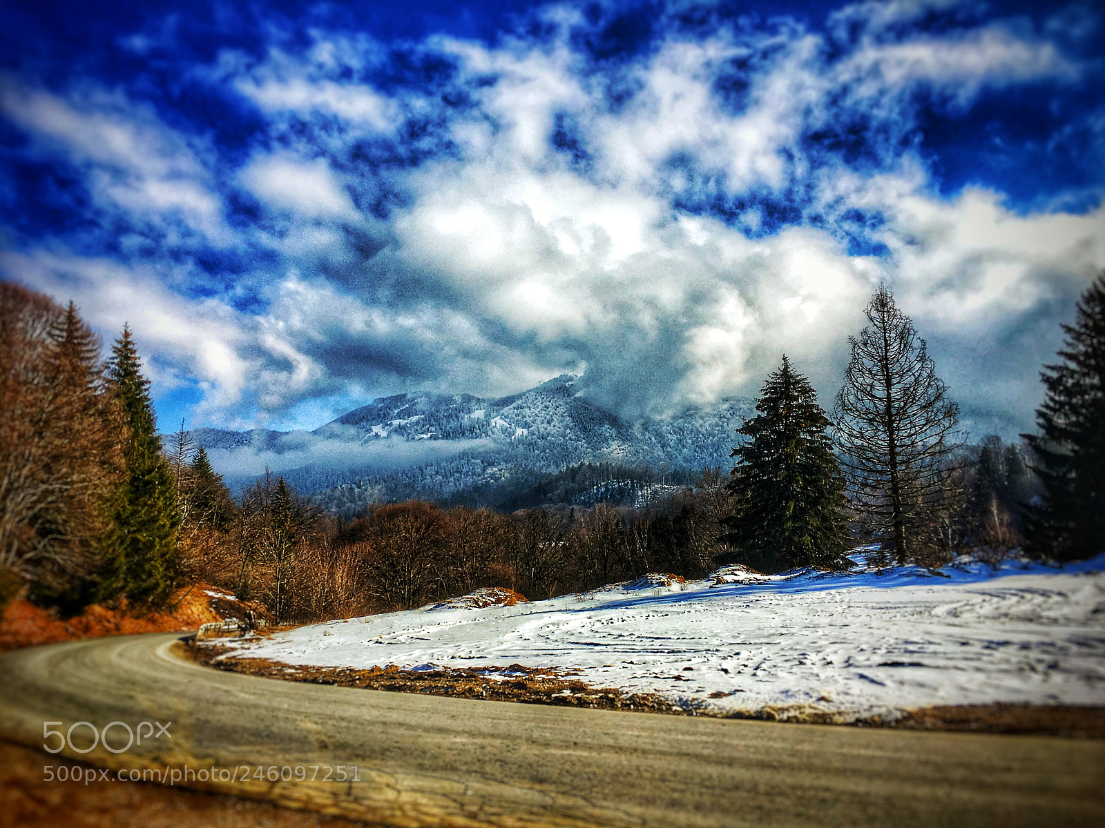 Apple iPhone 6s sample photo. Untitled photography