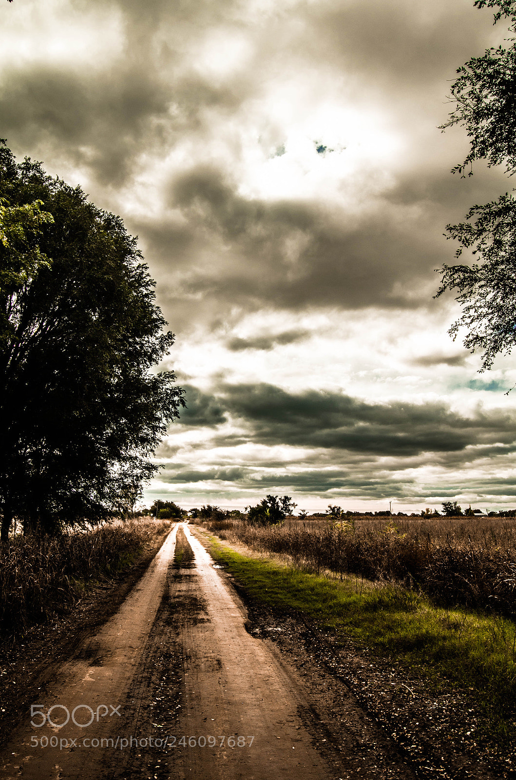 Nikon D5100 sample photo. Caminito photography