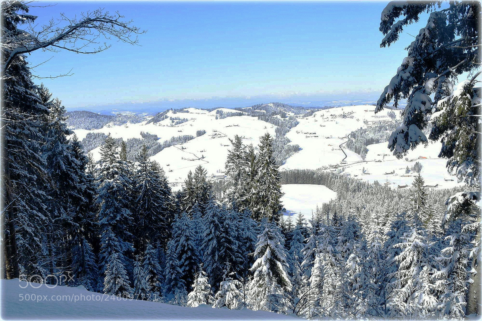 Nikon D7200 sample photo. "snowy window" photography