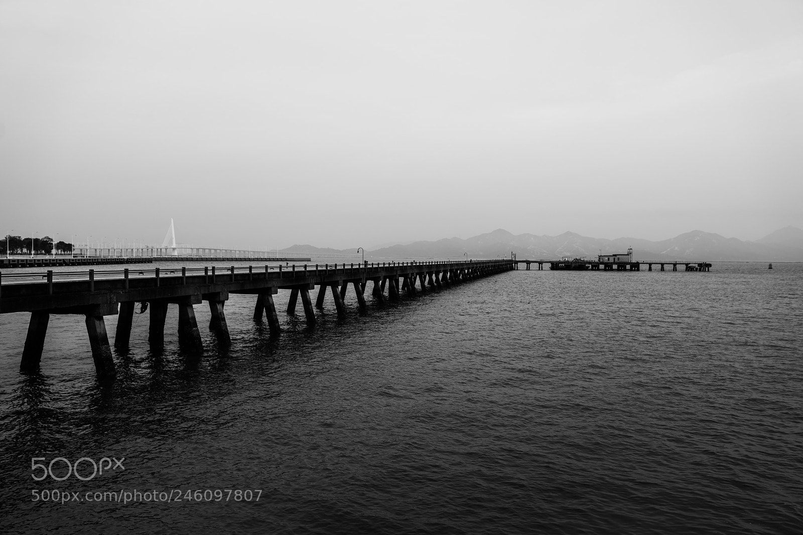 Sony a7 II sample photo. Bridge photography