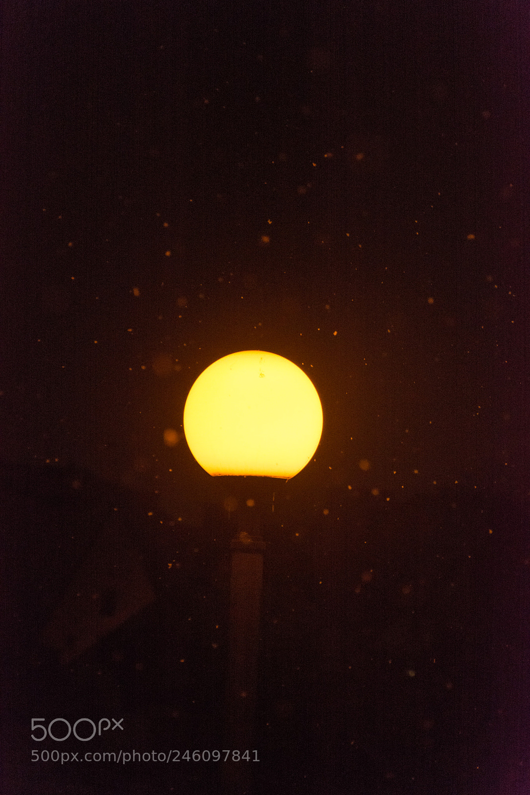 Nikon D5200 sample photo. Light photography
