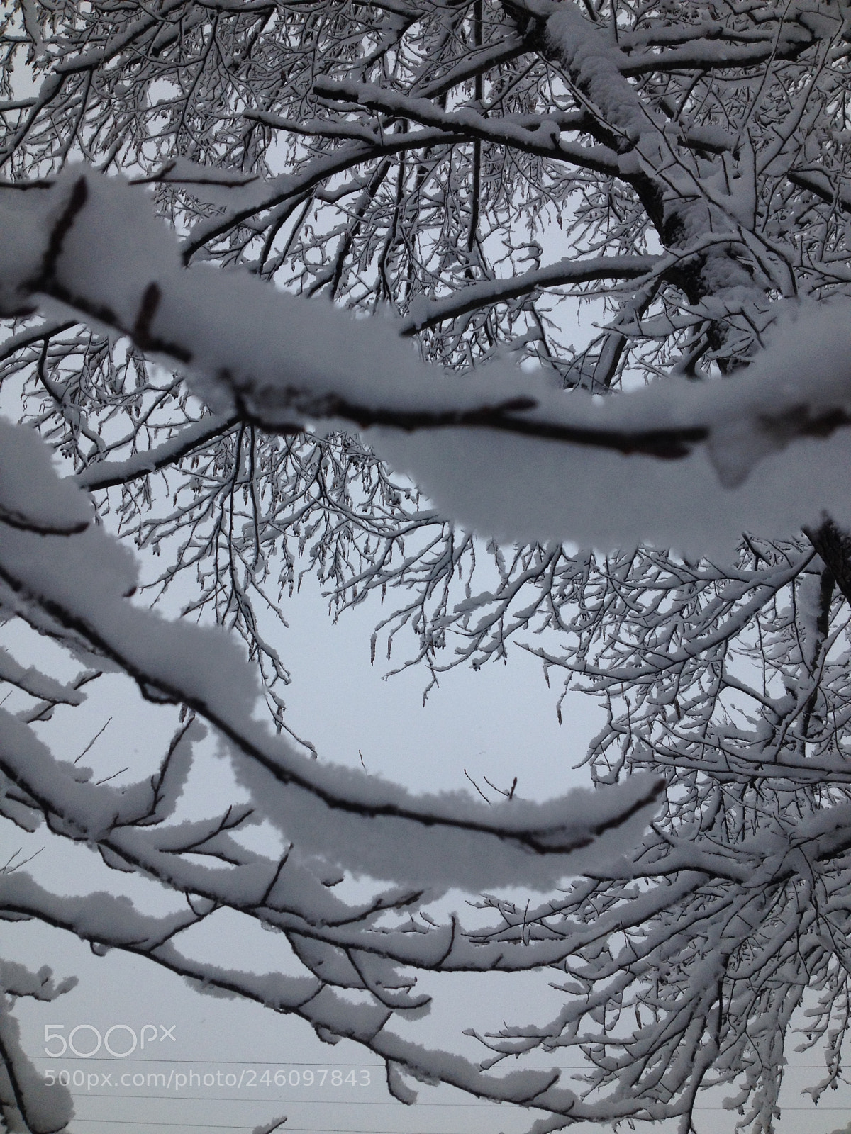 Apple iPhone 4S sample photo. Always only snow photography