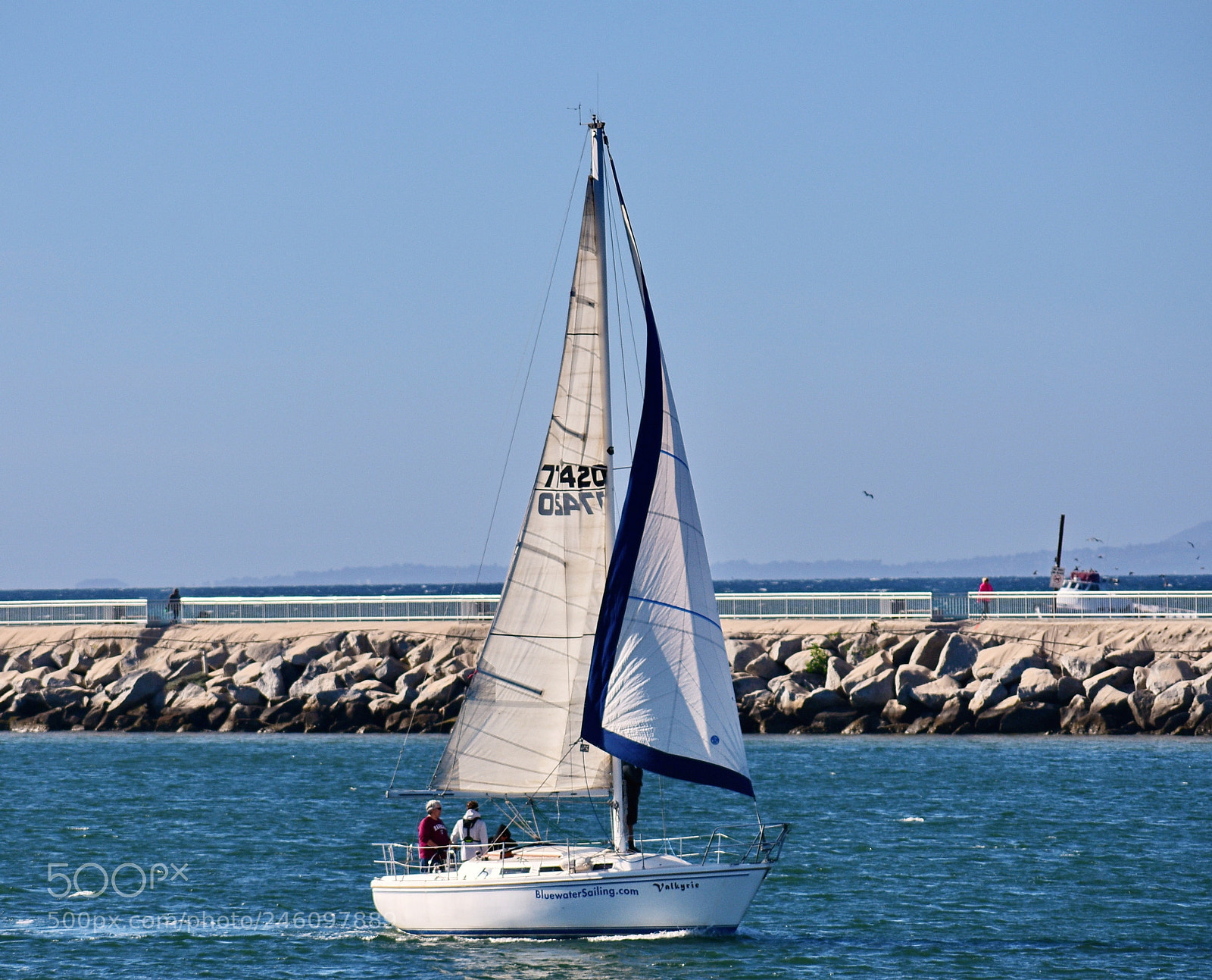 Nikon D7200 sample photo. Sailboat cruising marina channels photography