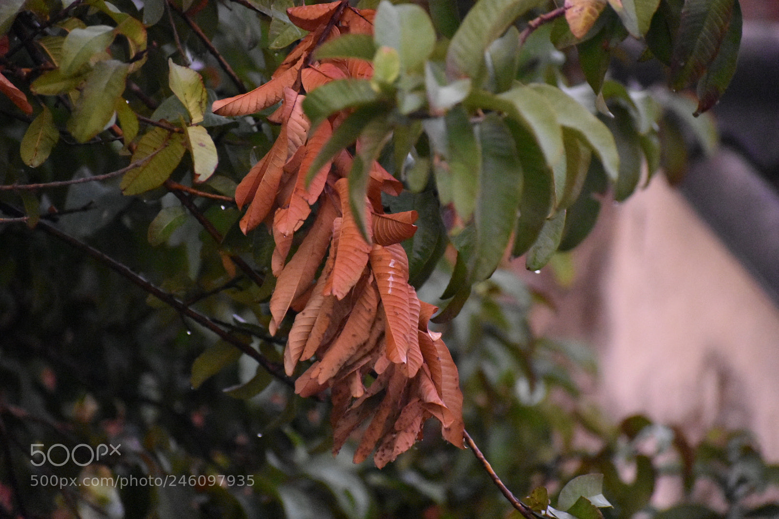 Nikon D3400 sample photo. Untitled photography