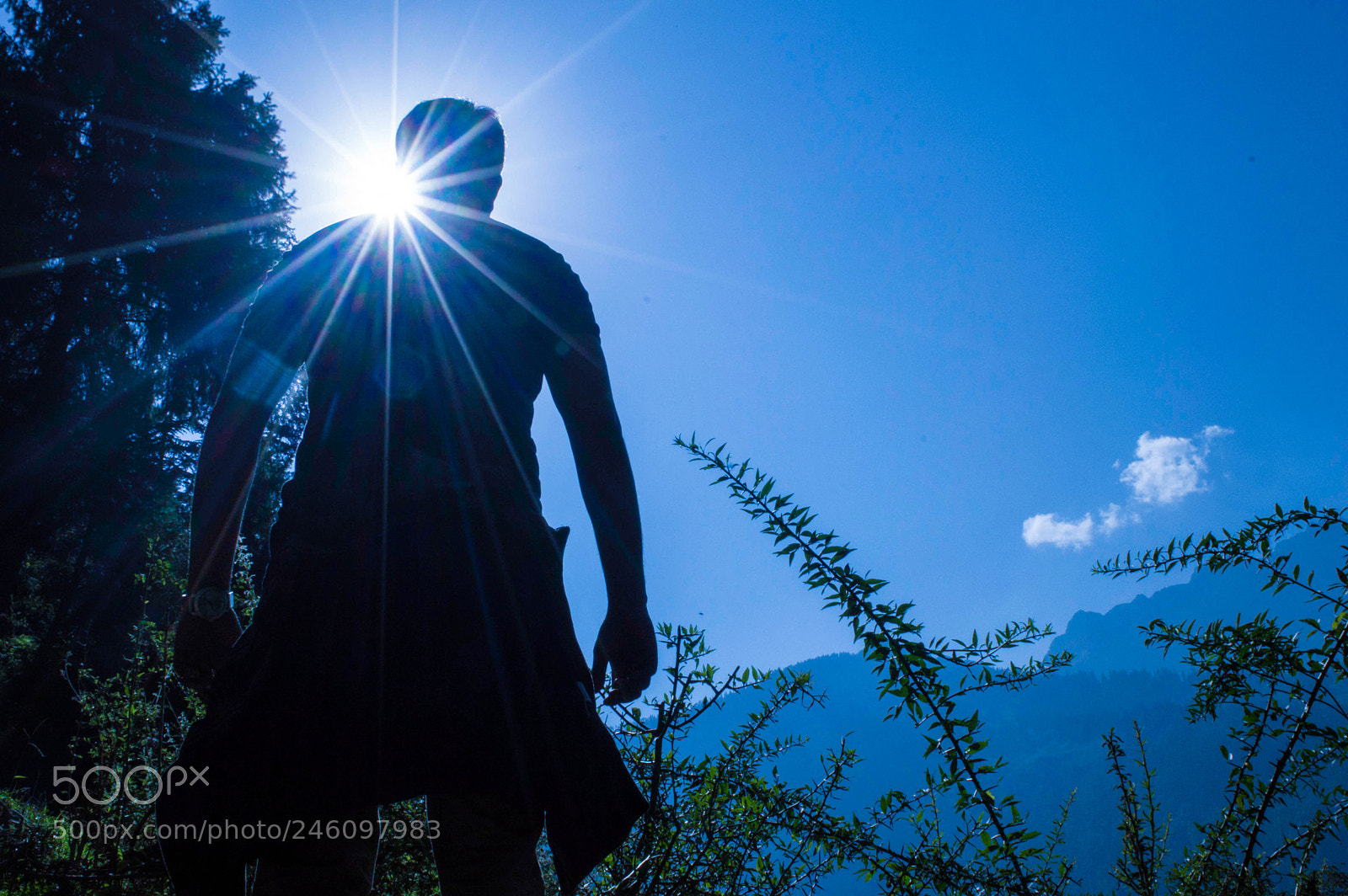 Nikon D3200 sample photo. The sun try to photography