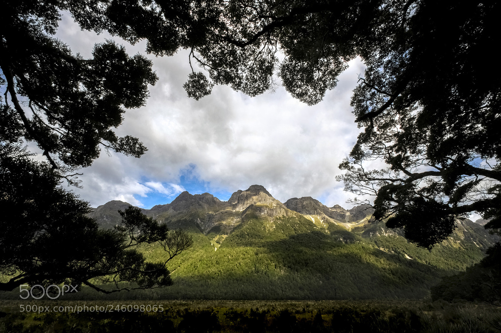 Pentax K-3 II sample photo. Fiordland photography