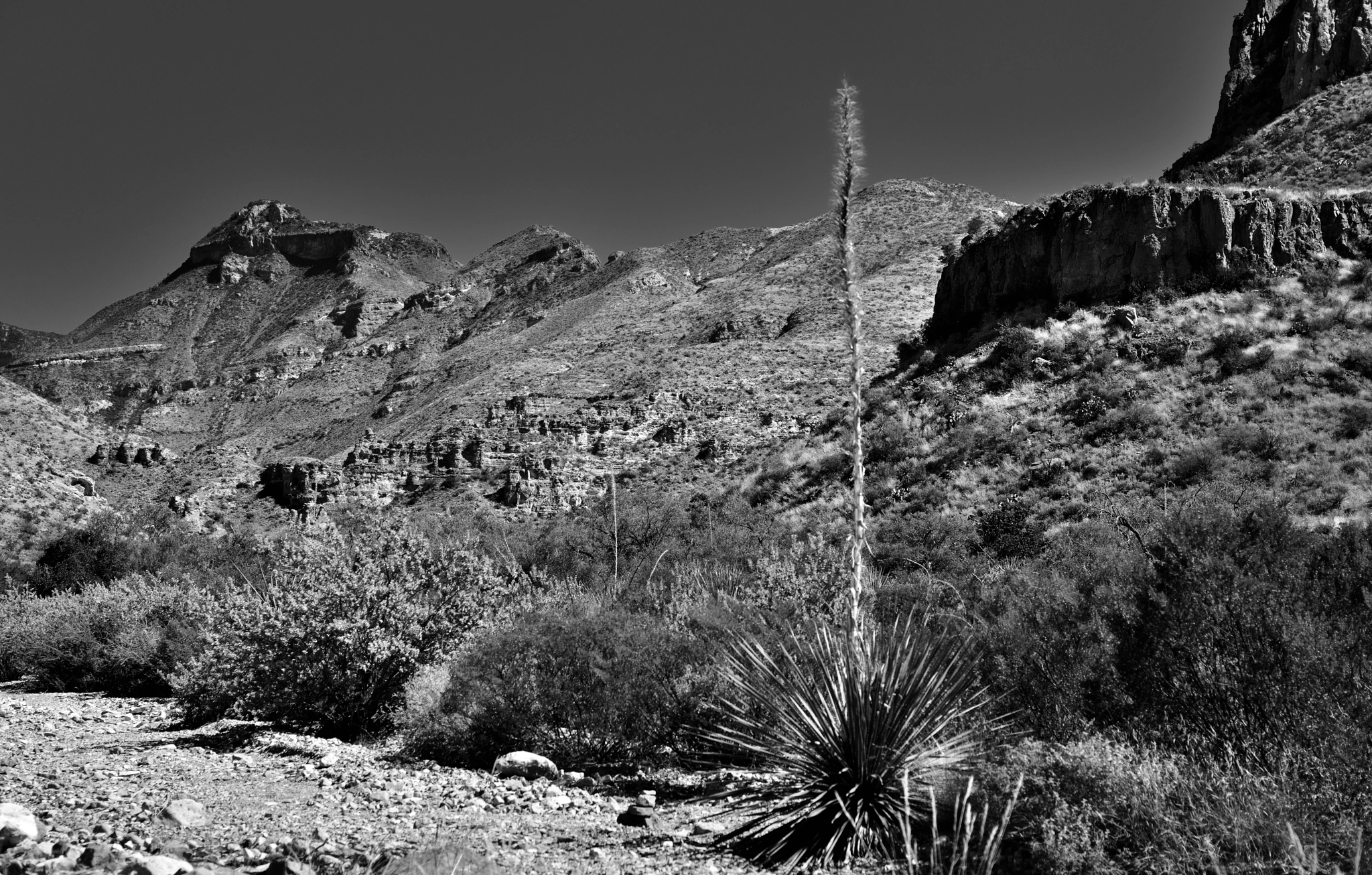 Nikon D800E + Nikon AF-S Nikkor 24-120mm F4G ED VR sample photo. A desert landscape and view across a mountainside while hiking along the blue creek trail photography