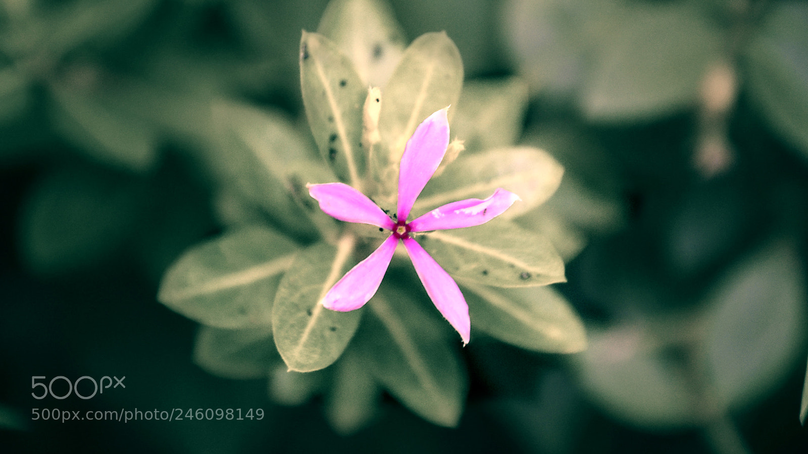 Nikon D3100 sample photo. Untitled photography