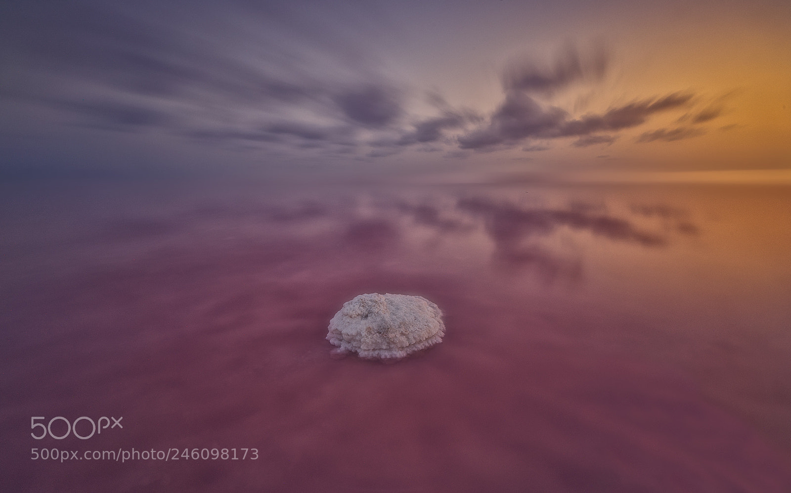 Nikon D810 sample photo. Salt pink lagoon photography