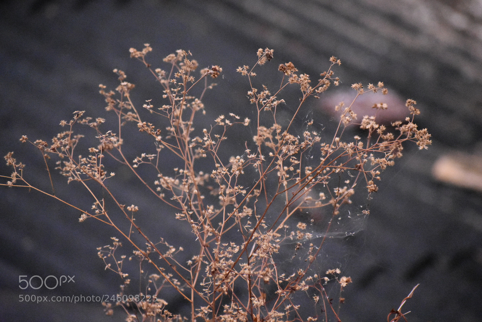 Nikon D3400 sample photo. Untitled photography