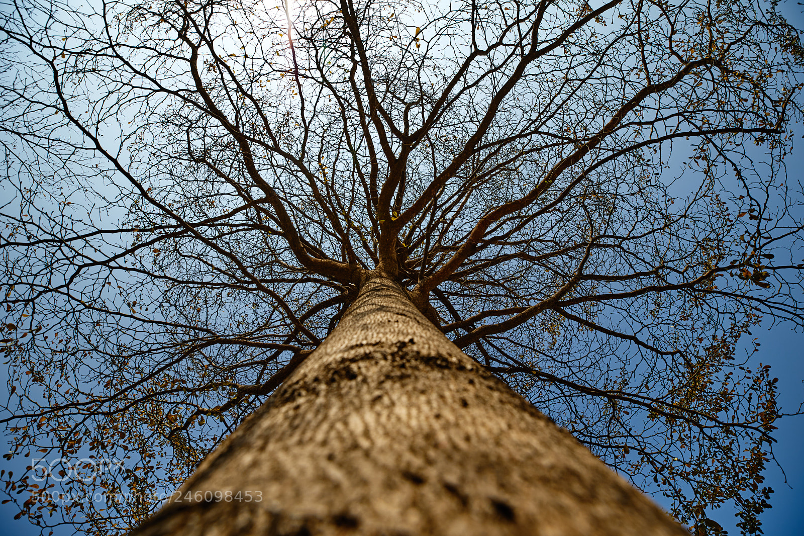 Sony a7 II sample photo. Untitled photography