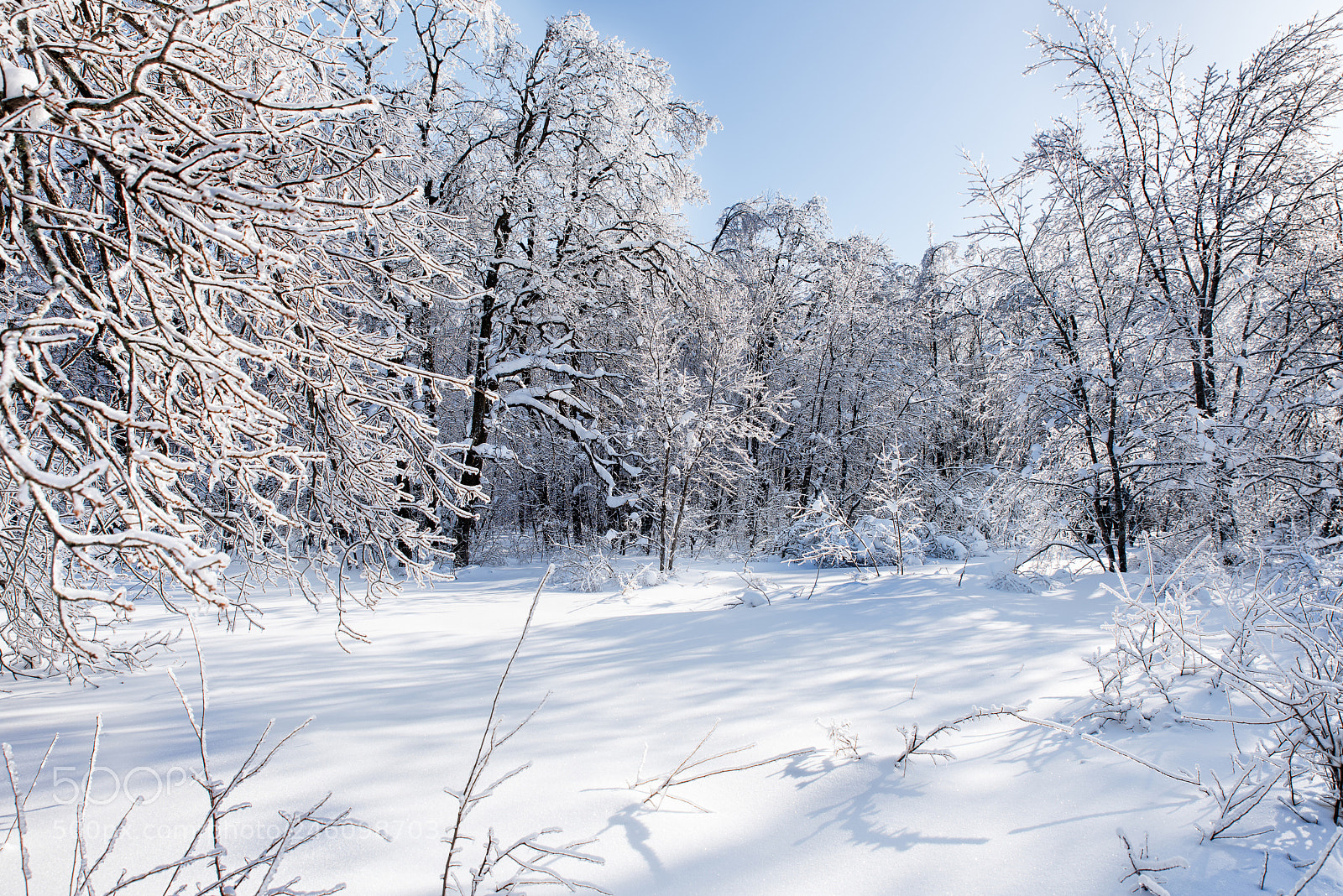 Nikon D810 sample photo. Winter landscape photography