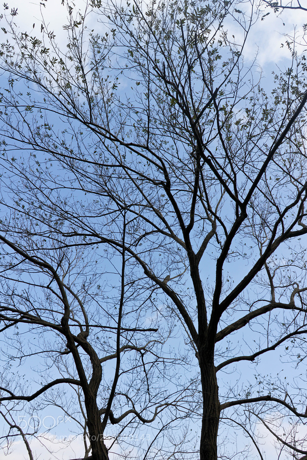 Canon EOS 600D (Rebel EOS T3i / EOS Kiss X5) sample photo. Girl's imagination photography
