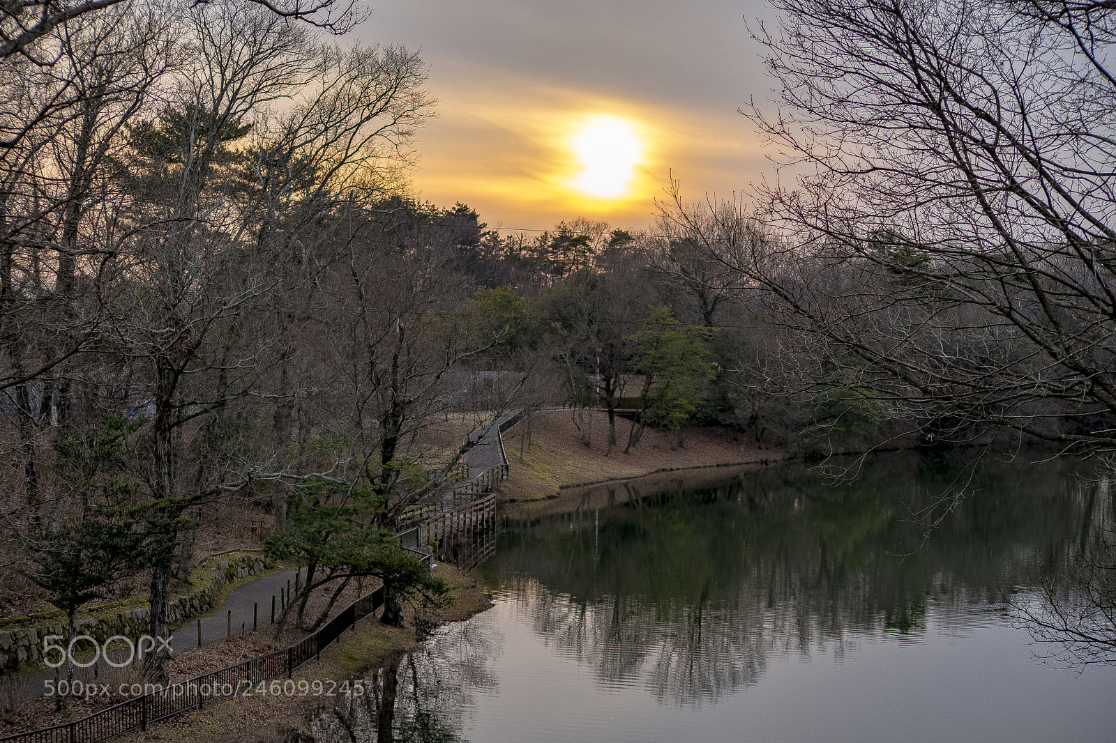 Sony a7 II sample photo. The evening of the photography