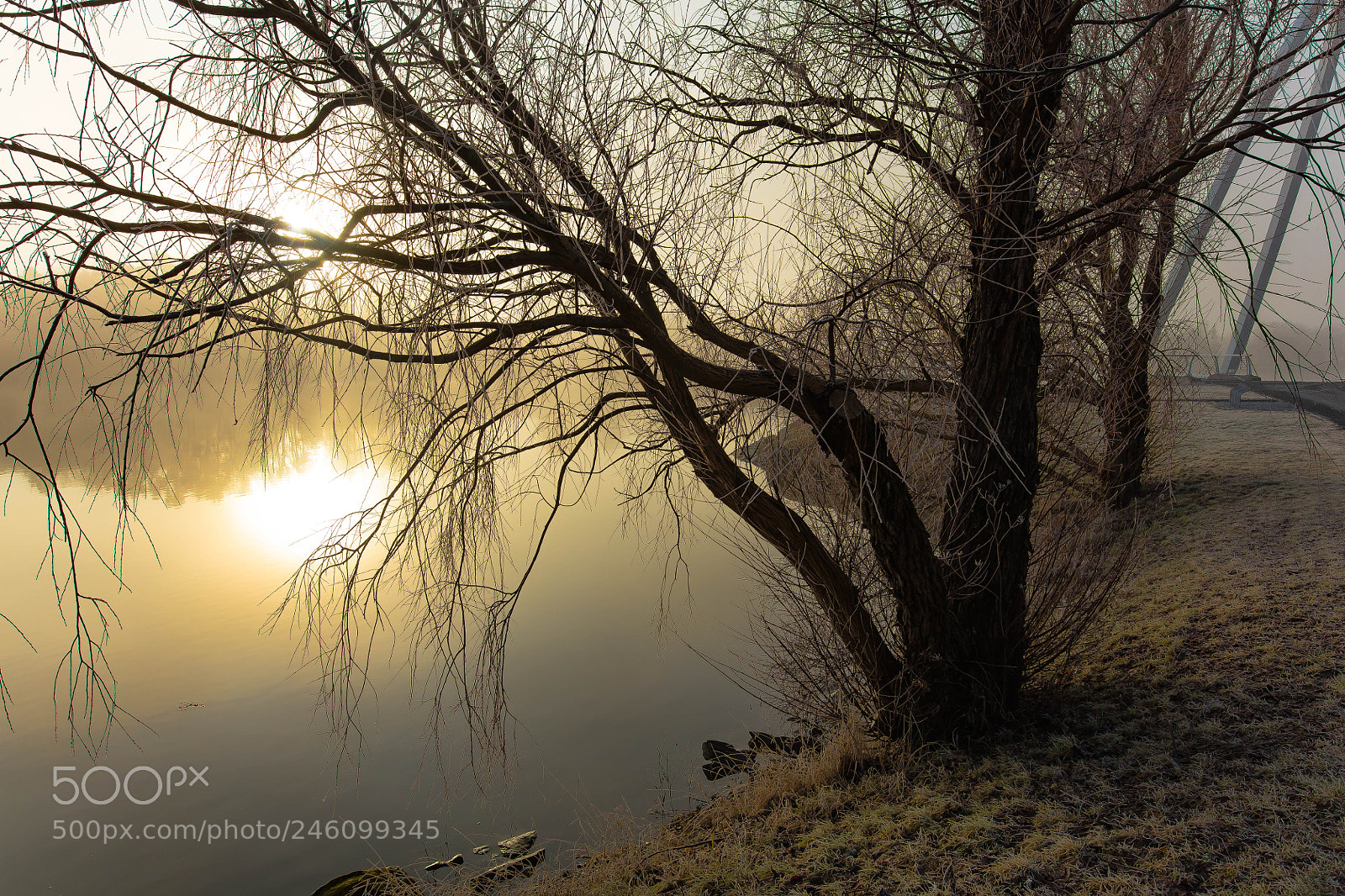 Canon EOS 5DS R sample photo. The fog is lifting photography