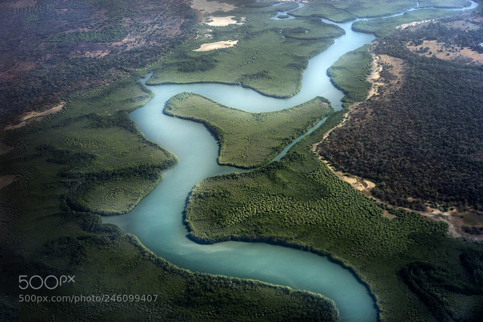Sony a7 II sample photo. Flying over the gambian photography