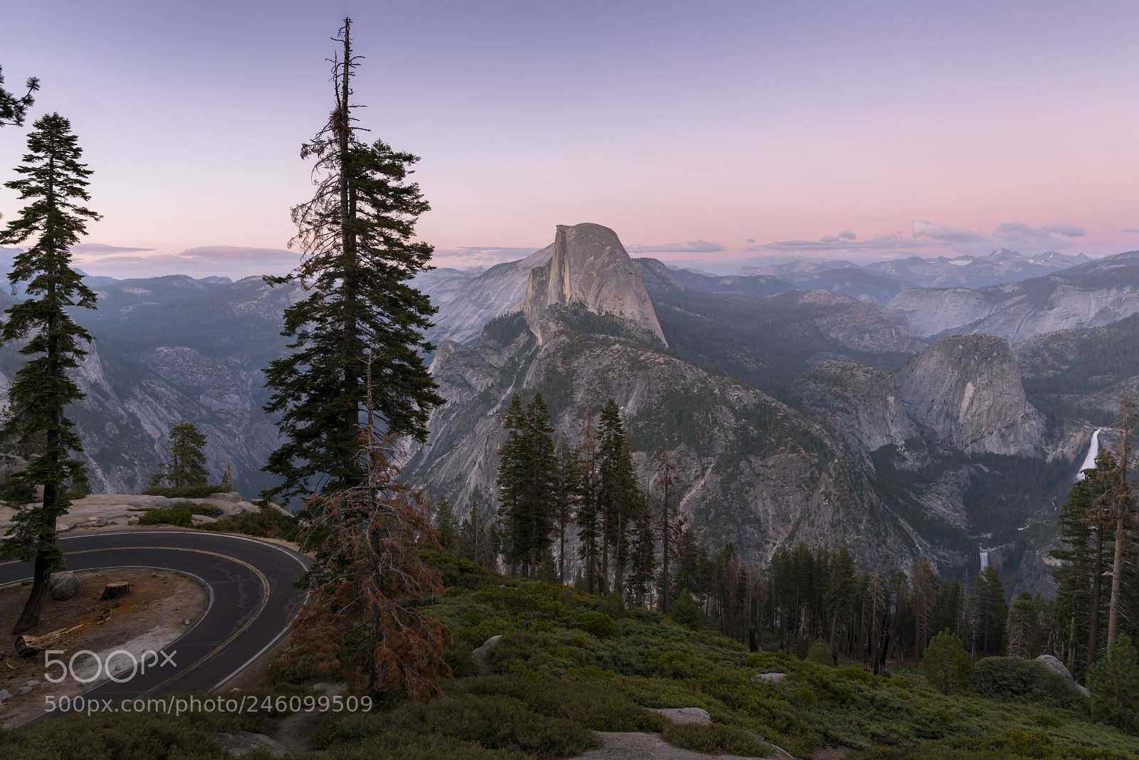 Nikon D810 sample photo. Magical light in yosemite photography