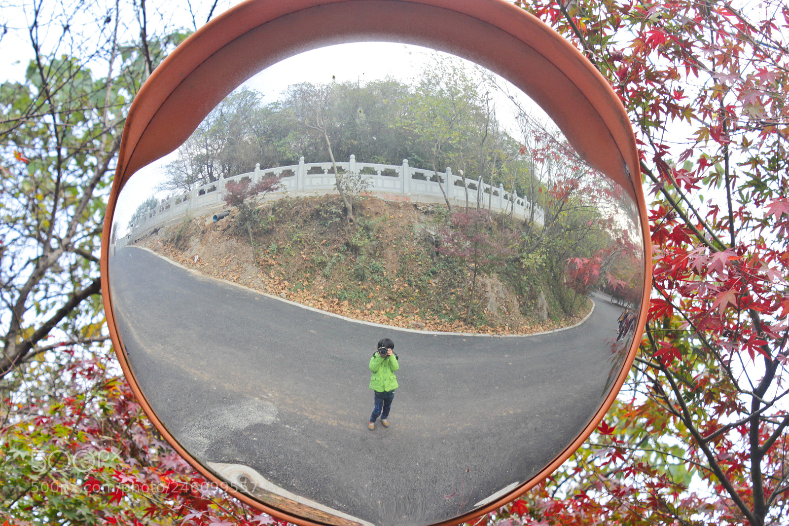 Canon EOS 600D (Rebel EOS T3i / EOS Kiss X5) sample photo. Ok,i catch me photography