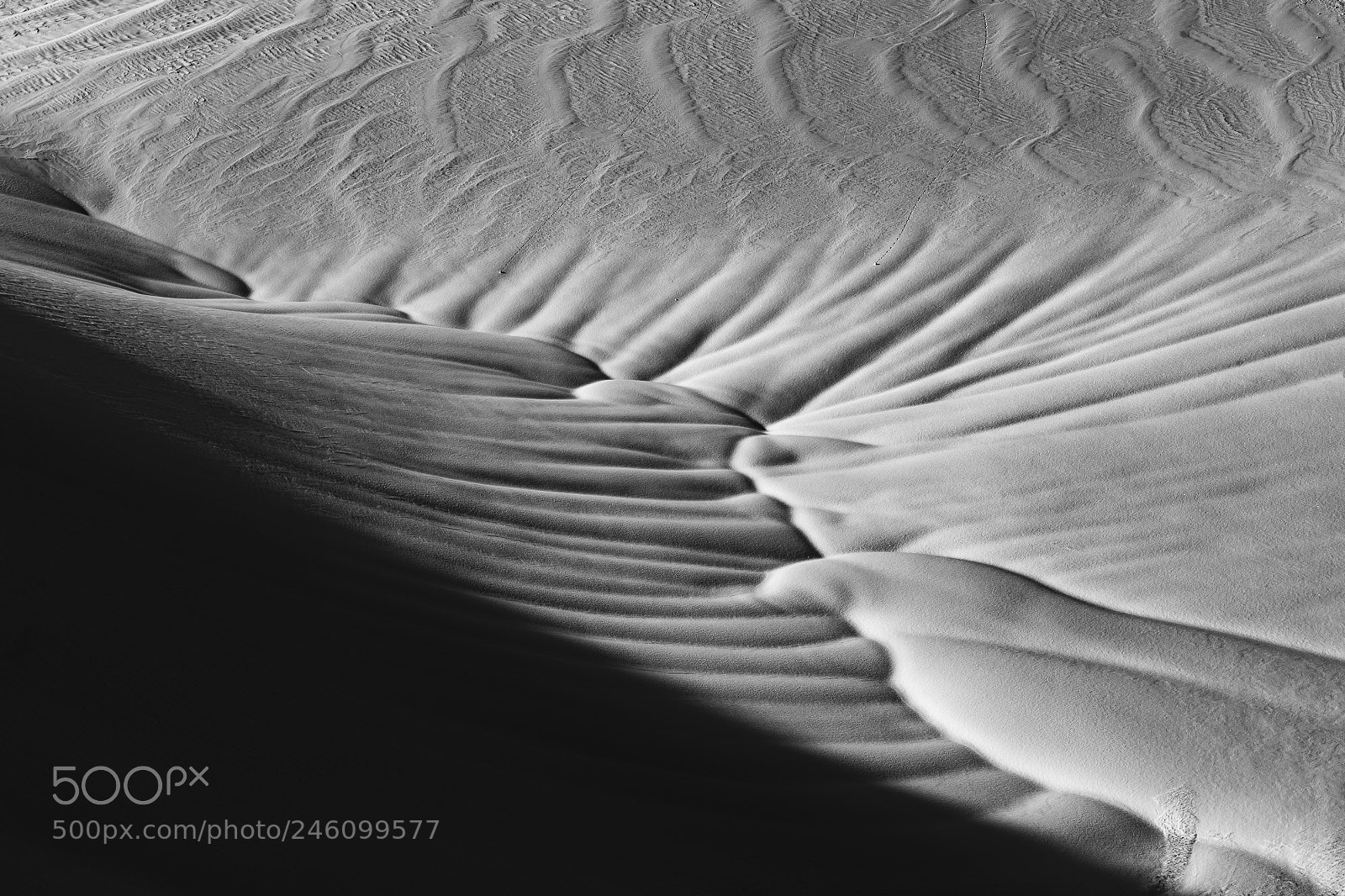 Canon EOS-1D X sample photo. Textural variants photography