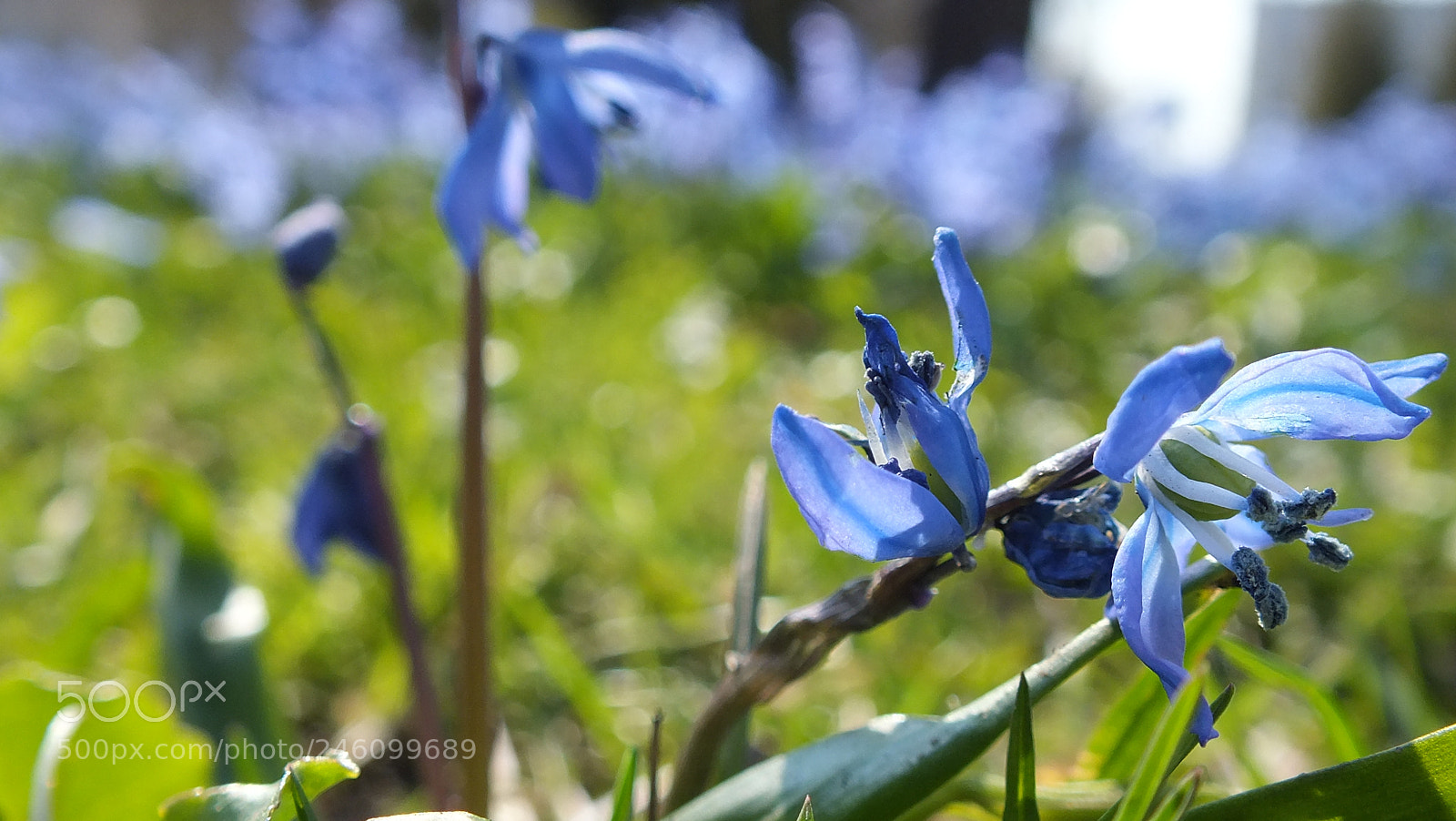 Fujifilm FinePix HS30EXR sample photo. It is not simple... photography
