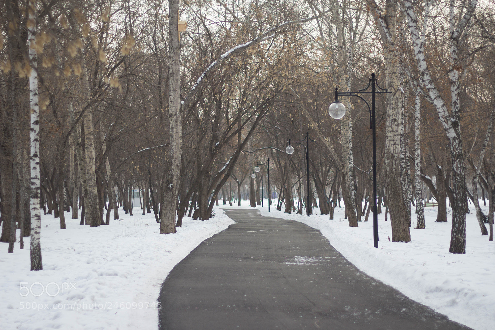 Canon EOS 60D sample photo. Winter park photography