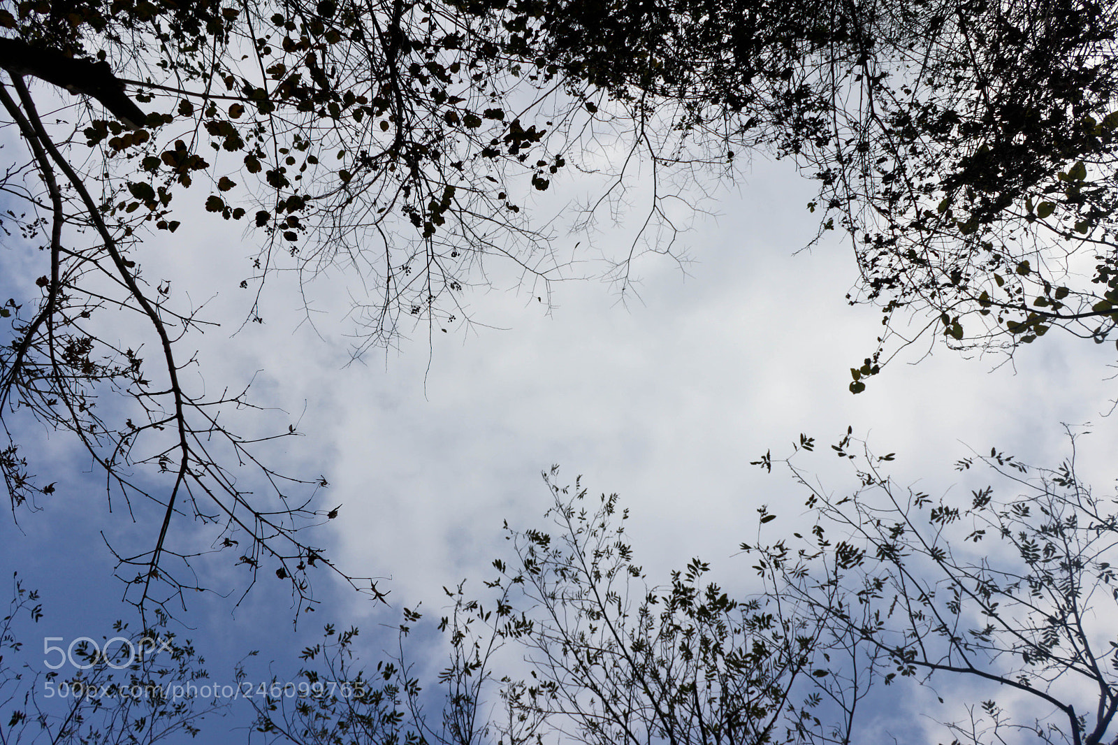 Canon EOS 600D (Rebel EOS T3i / EOS Kiss X5) sample photo. Girl's sky photography