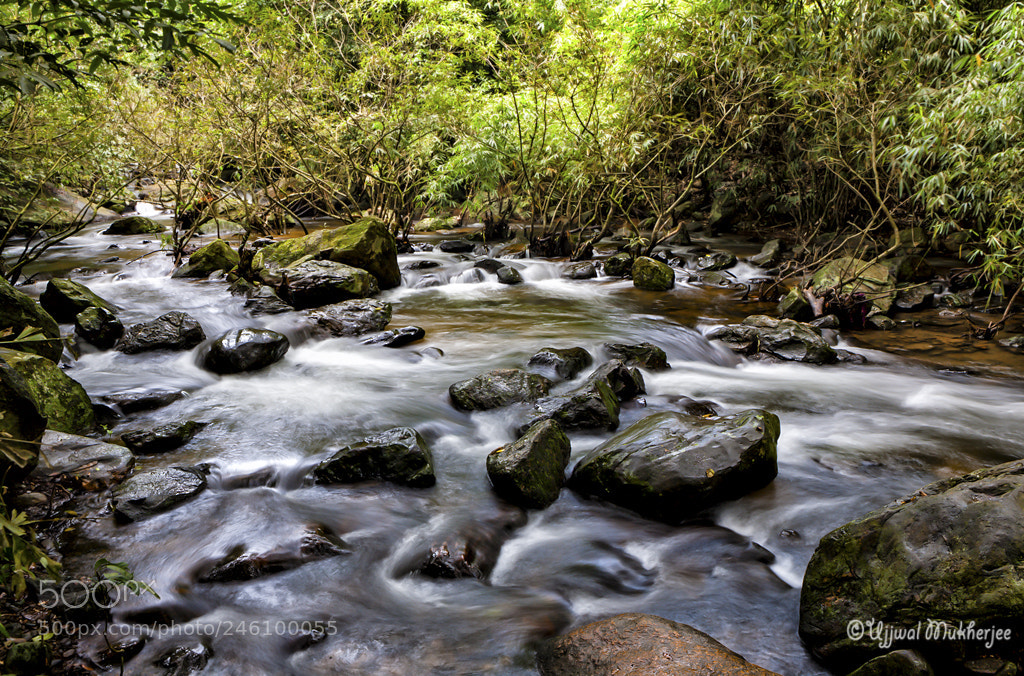 Canon EOS 5D sample photo. Iruppu falls - downstream photography