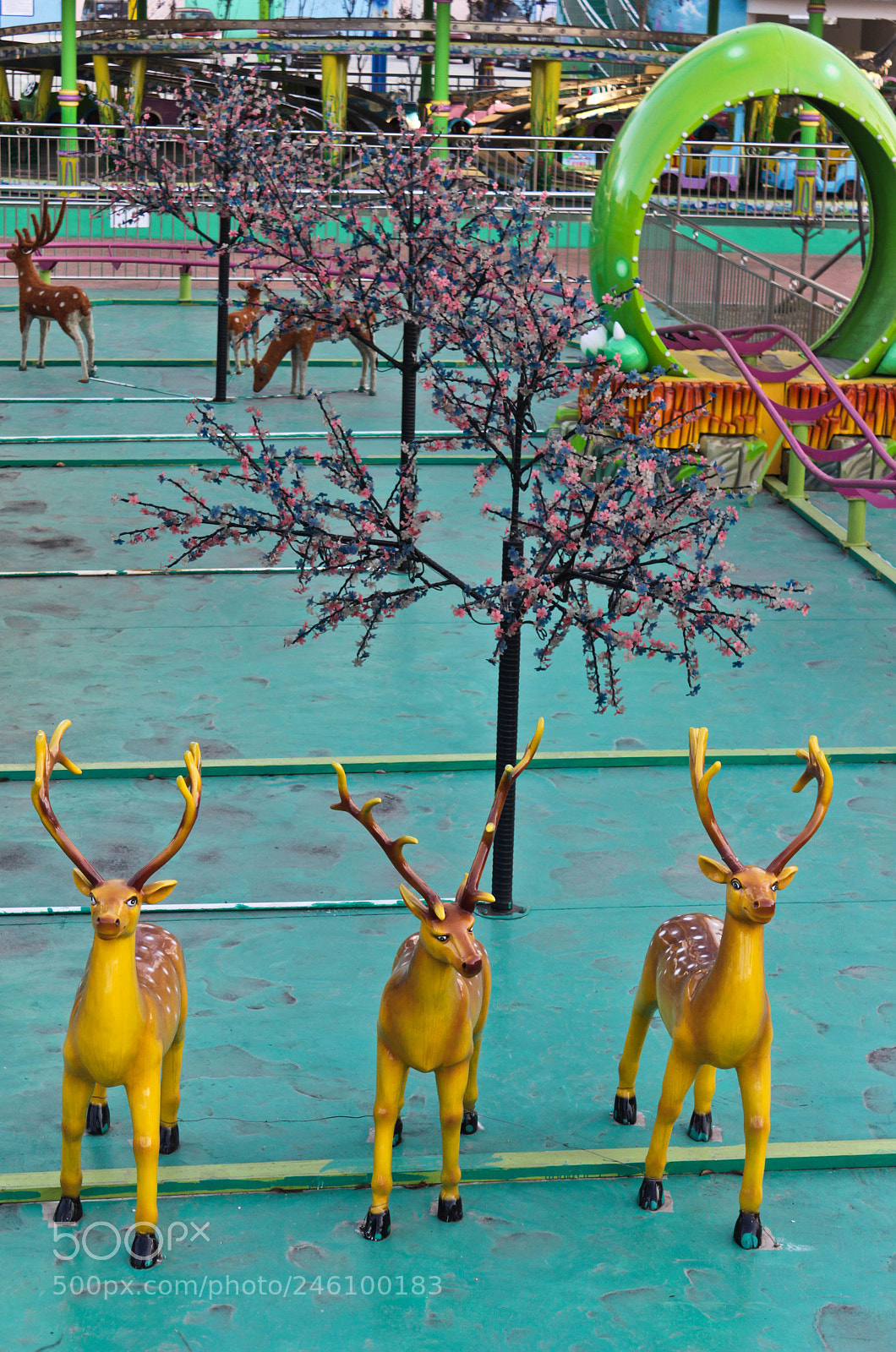 Canon EOS 600D (Rebel EOS T3i / EOS Kiss X5) sample photo. Girl's paradise ii photography