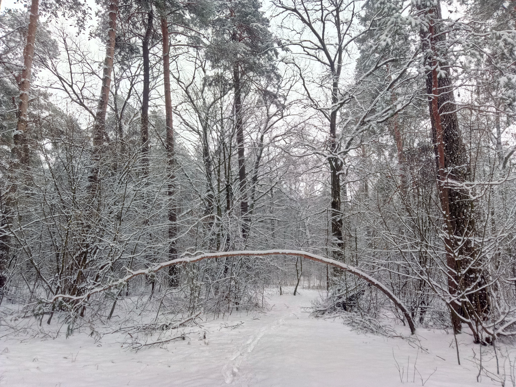 Meizu U20 sample photo