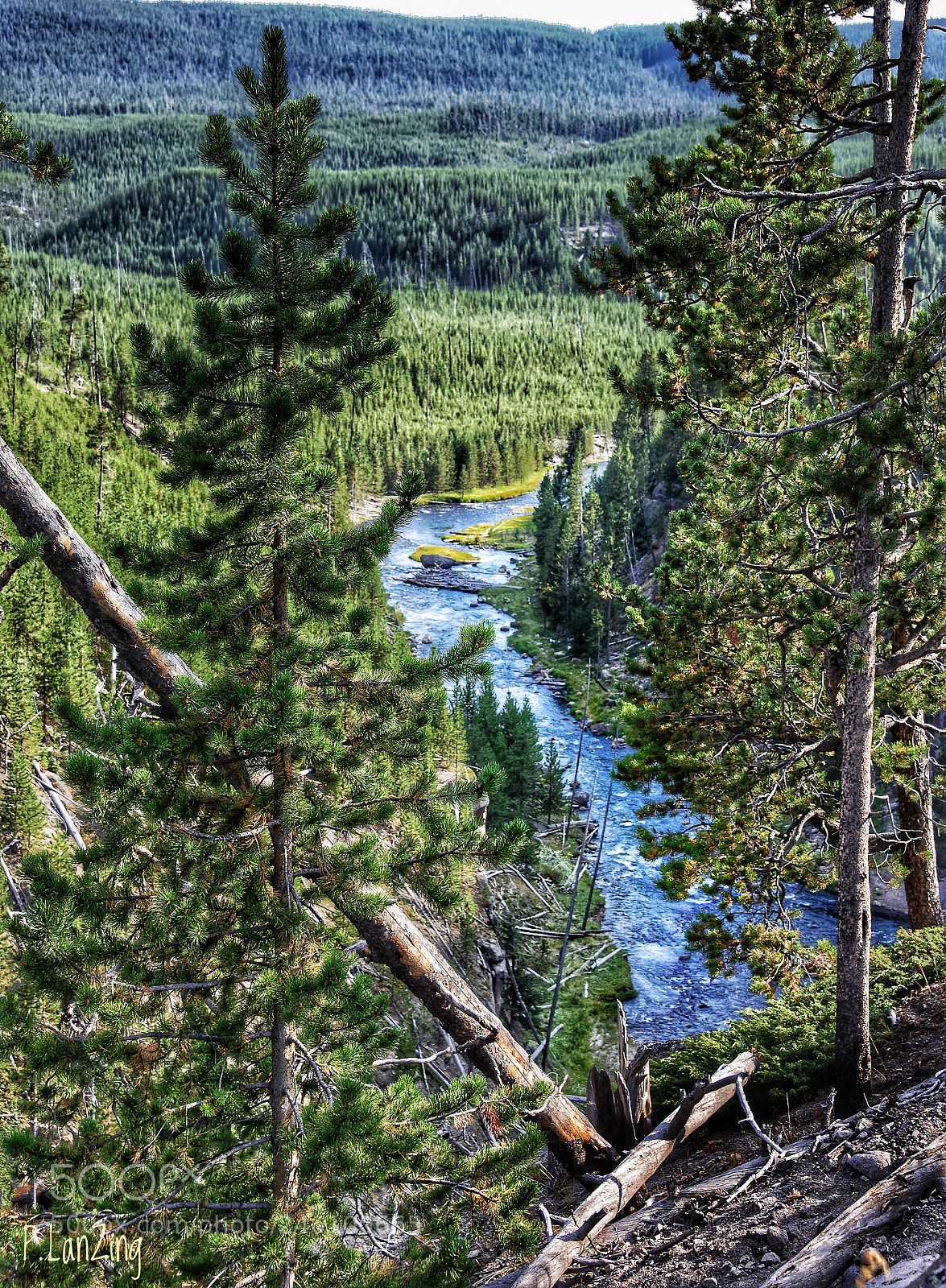 Nikon D810 sample photo. Above the yellowstone river photography