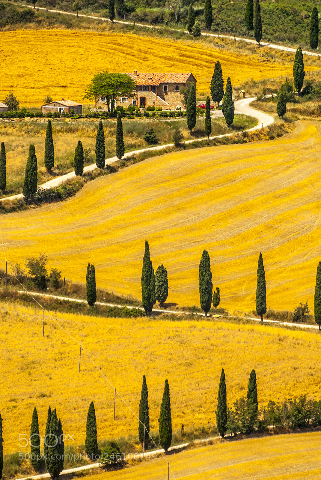 Nikon D200 sample photo. Landscape in val d'orcia photography