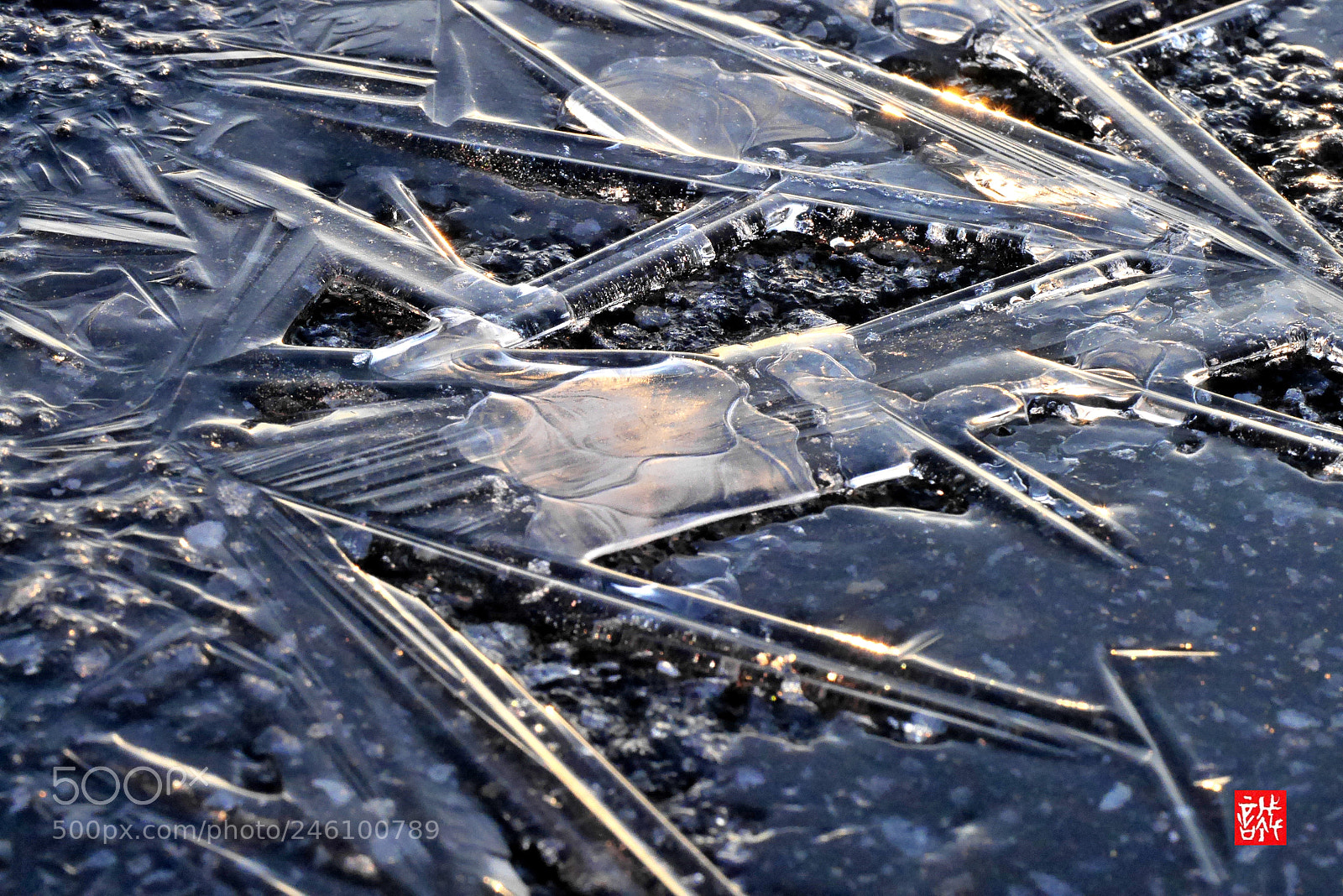 Panasonic Lumix DMC-GX7 sample photo. Ice 0106 photography