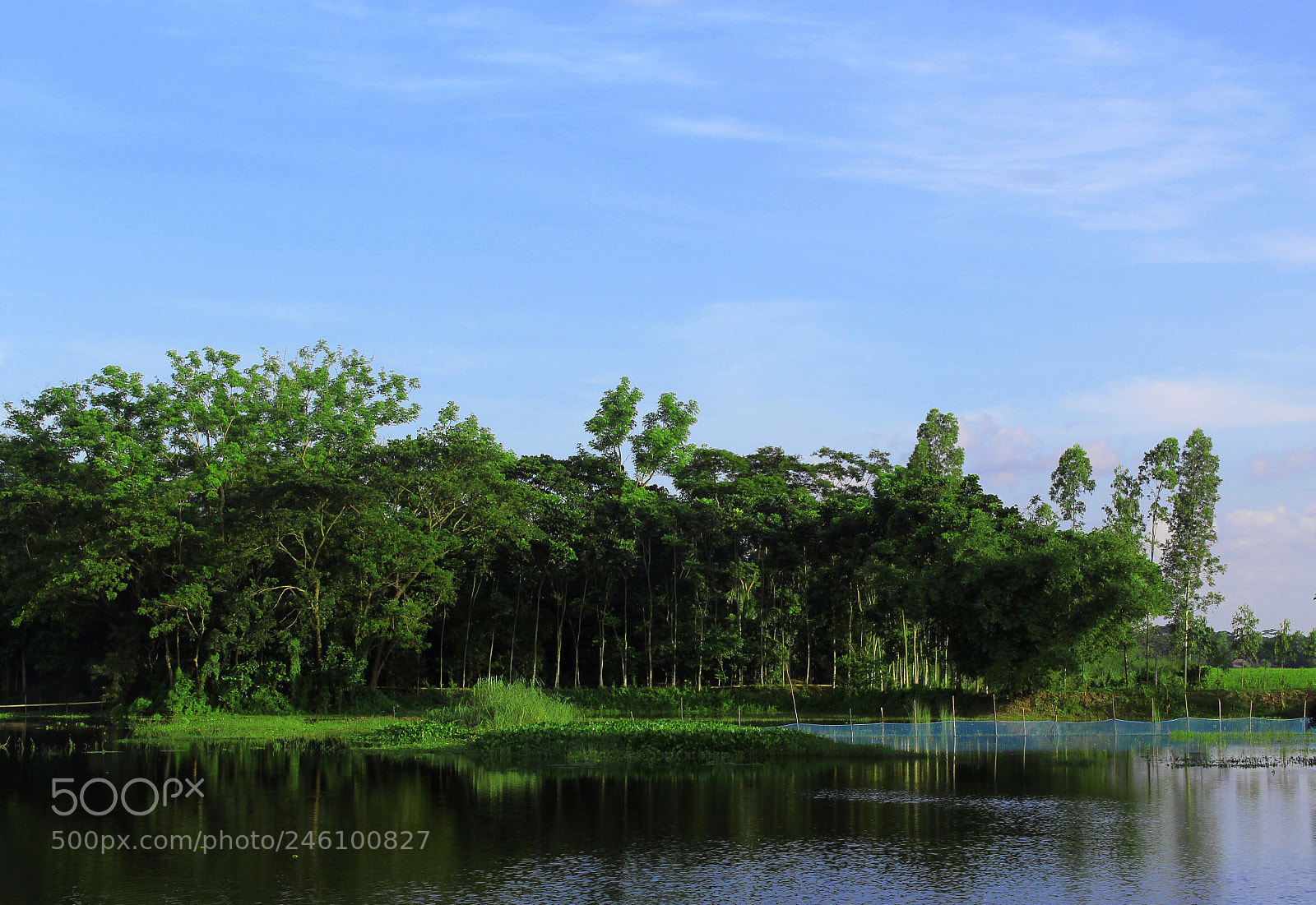 Canon EOS 1300D (EOS Rebel T6 / EOS Kiss X80) sample photo. Beauty of nature photography