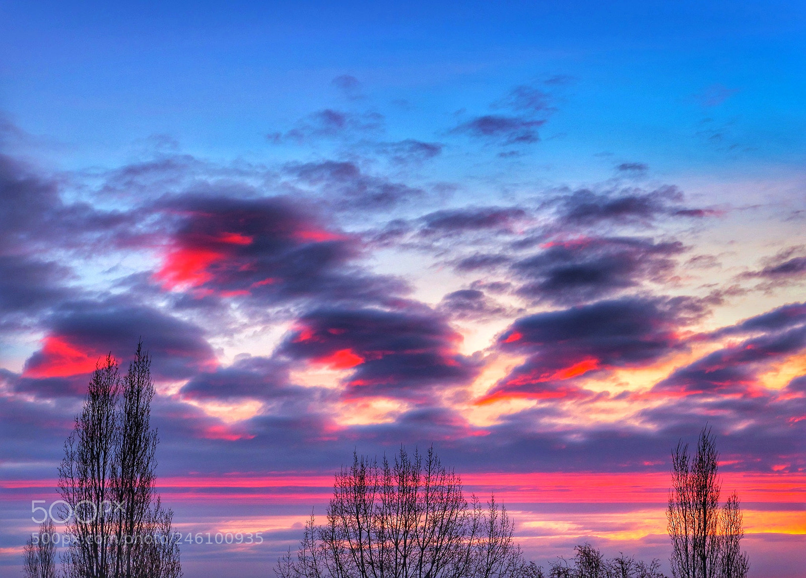 Olympus OM-D E-M1 Mark II sample photo. Sky intruders.. photography