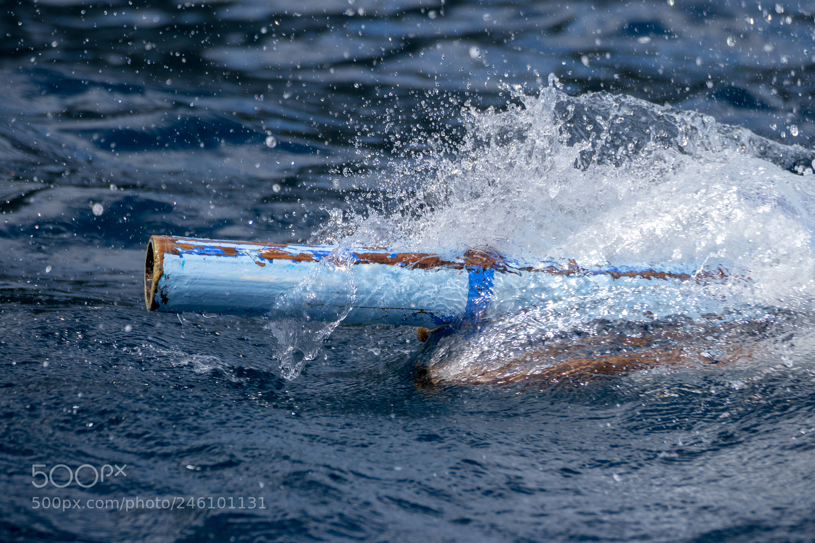 Canon EOS 7D Mark II sample photo. Cutting through the water photography
