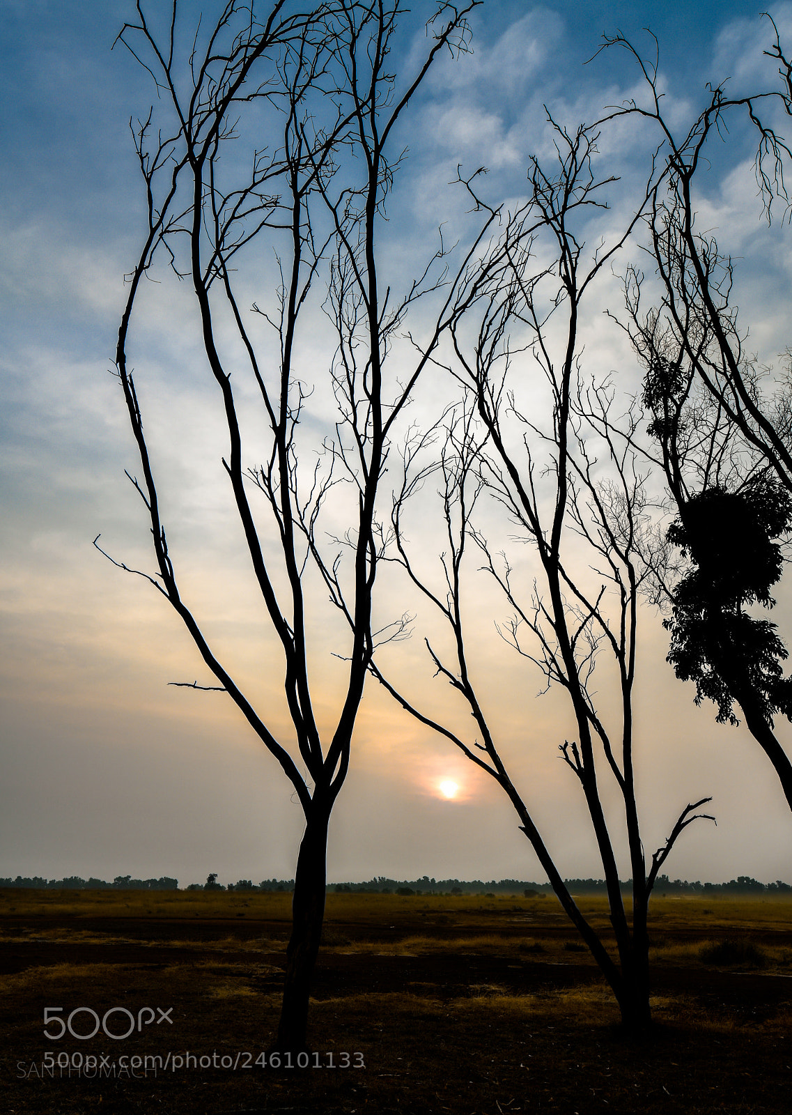Nikon D850 sample photo. Beautiful sunrise photography