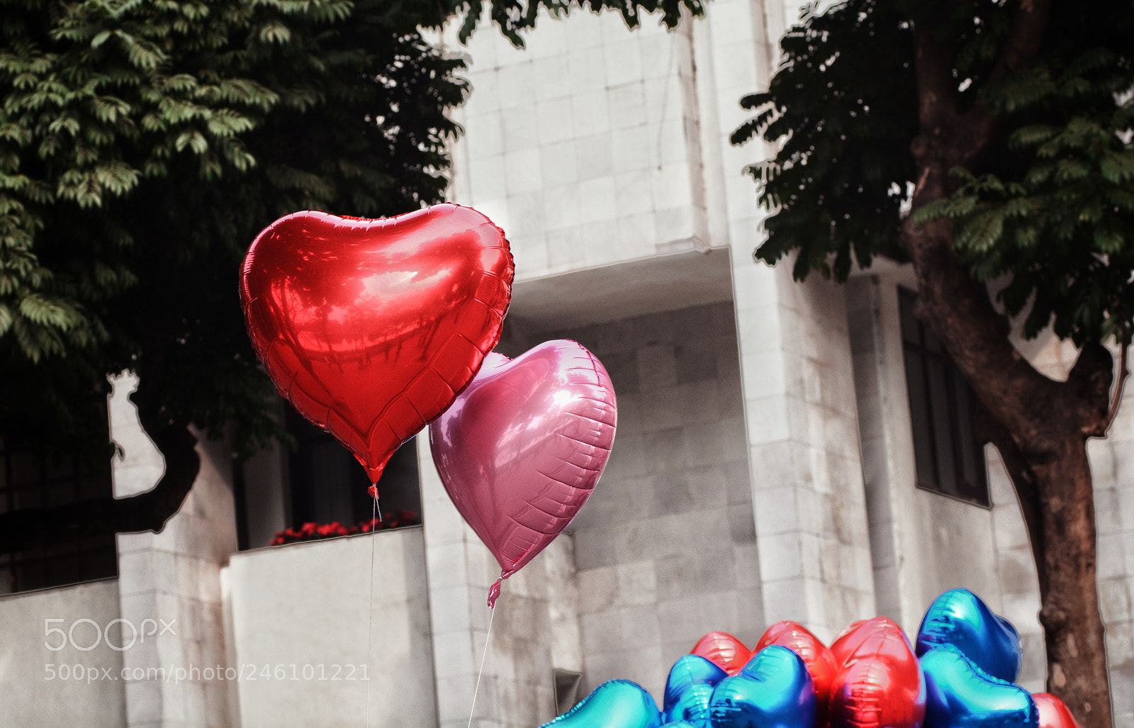 Nikon D7100 sample photo. Vlt.cnnt photography
