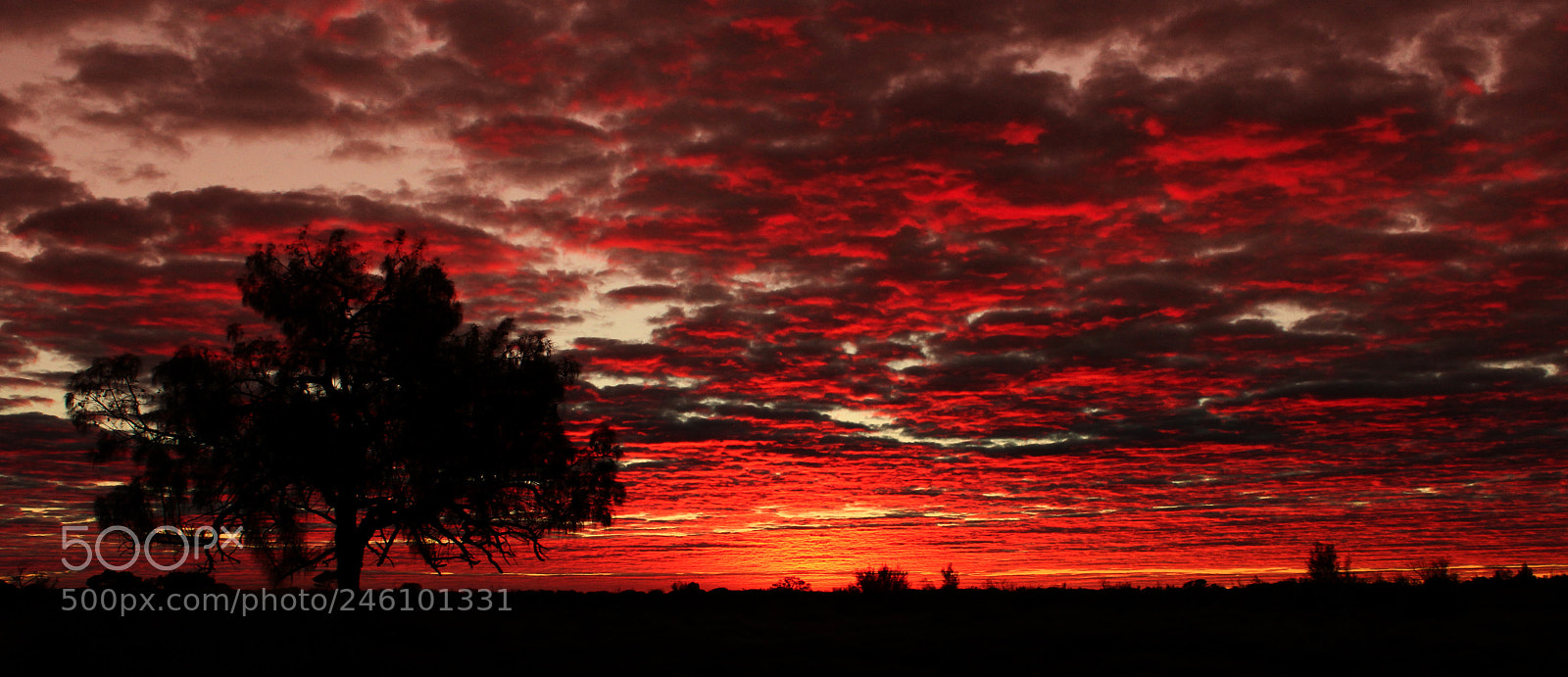 Canon EOS 600D (Rebel EOS T3i / EOS Kiss X5) sample photo. Red sunrise photography