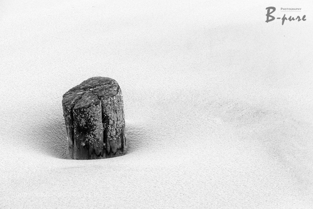 Nikon D500 sample photo. Solum photography