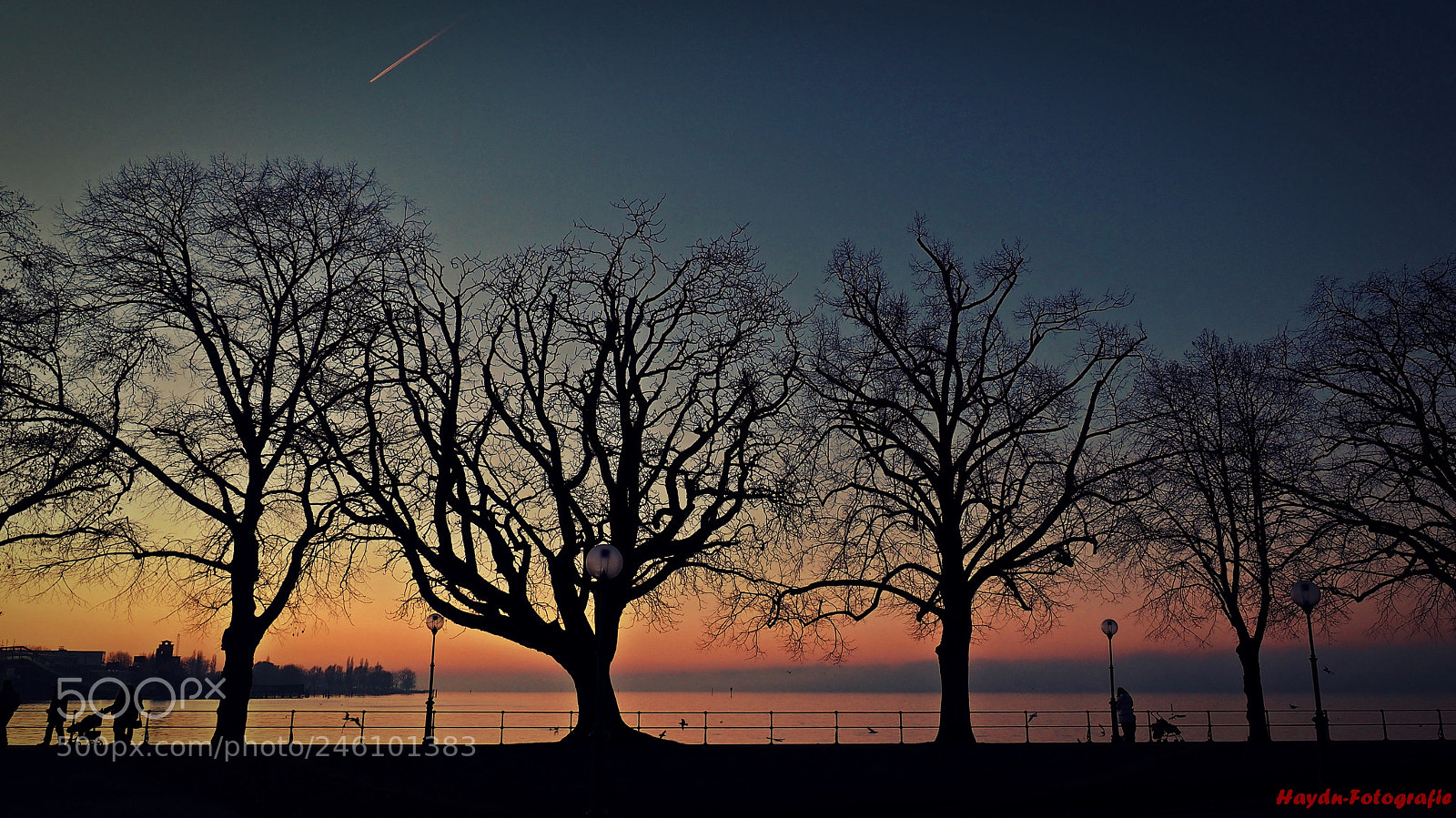 Olympus OM-D E-M1 sample photo. Winter sunset (bregenz) photography