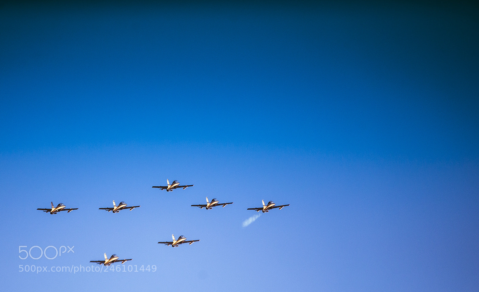 Canon EOS-1D X sample photo. Forsan uae photography