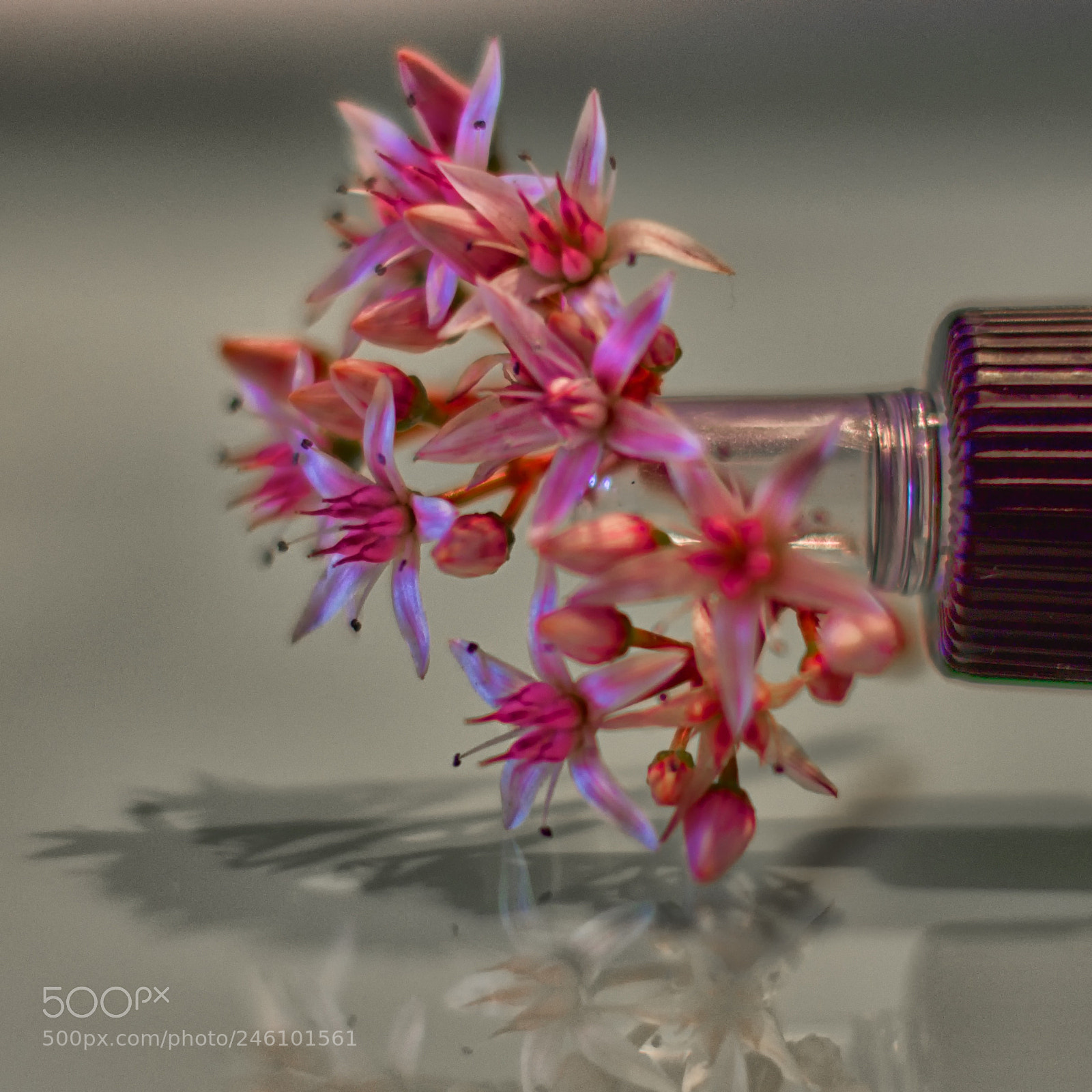 Nikon D7200 sample photo. Alternative medicines photography